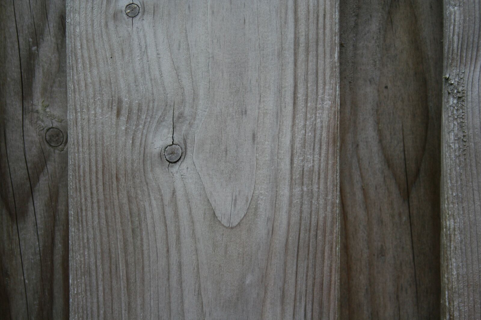 Canon EOS 350D (EOS Digital Rebel XT / EOS Kiss Digital N) sample photo. Wall, fence photography
