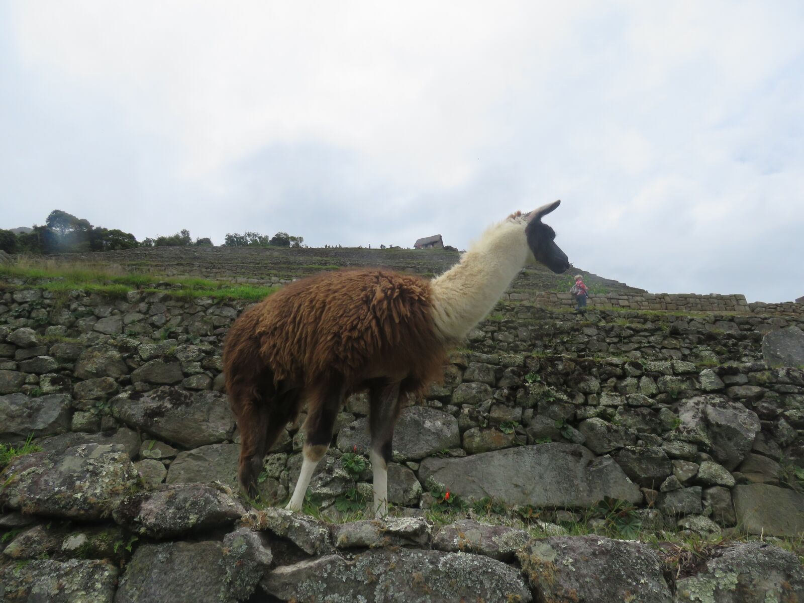 Canon PowerShot SX60 HS sample photo. Cusco, peru, andes photography