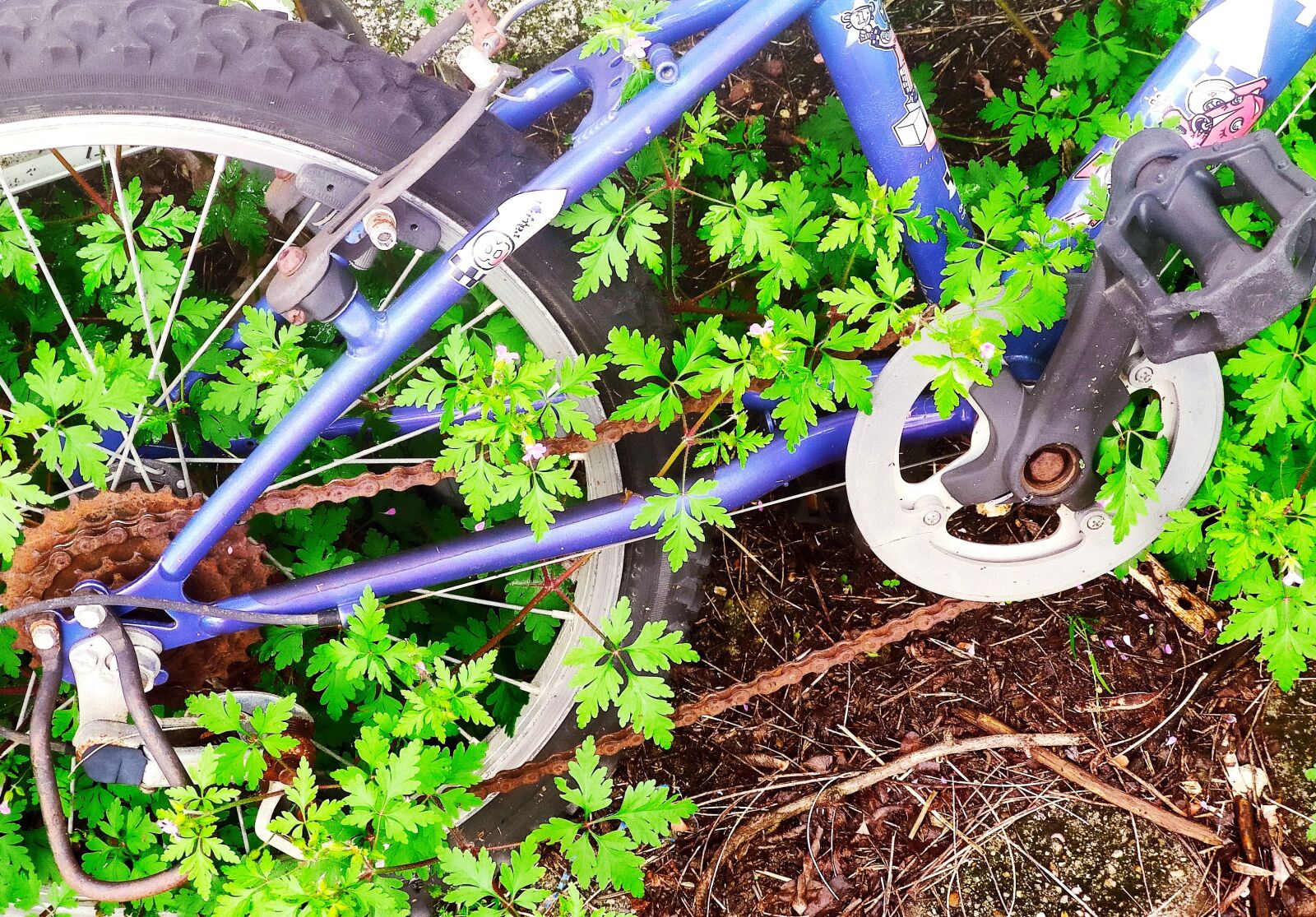 Xiaomi Mi 9T sample photo. Bicycle, leaves, wheel photography