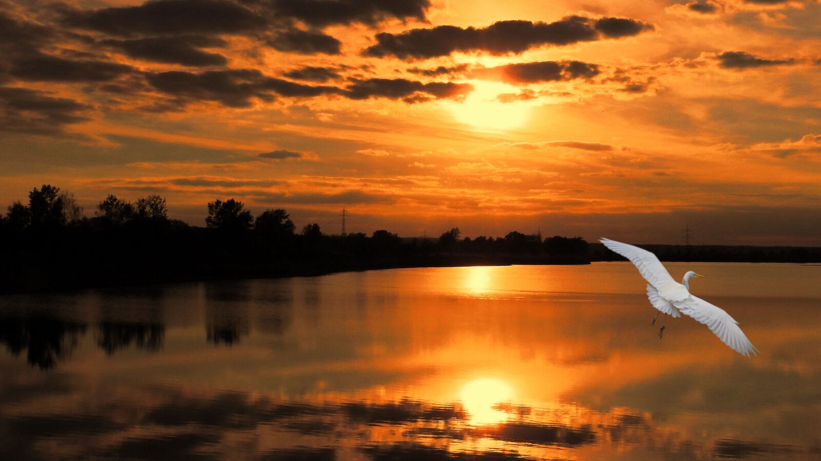 Nikon Coolpix P900 sample photo. Landscape, sunset, bird photography