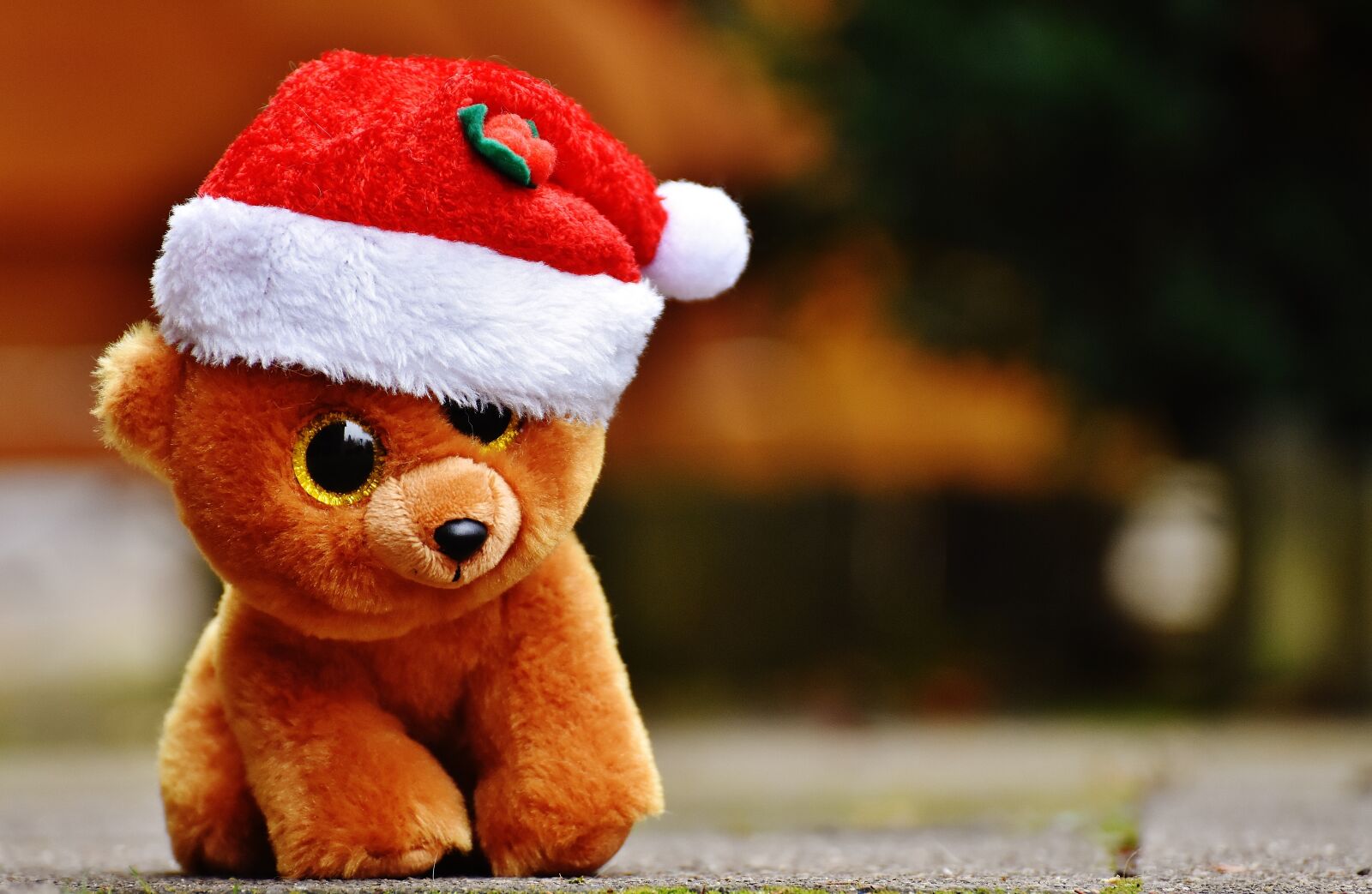 Nikon D7200 sample photo. Christmas, teddy, bear photography