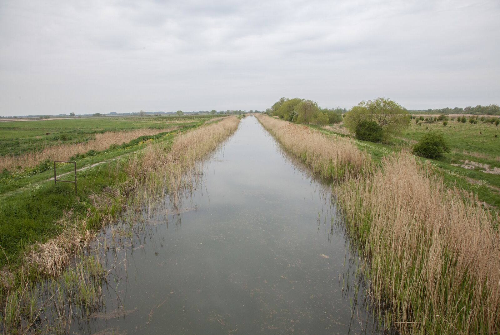 Canon EOS 5D Mark II sample photo. Fen, landscape, flat photography