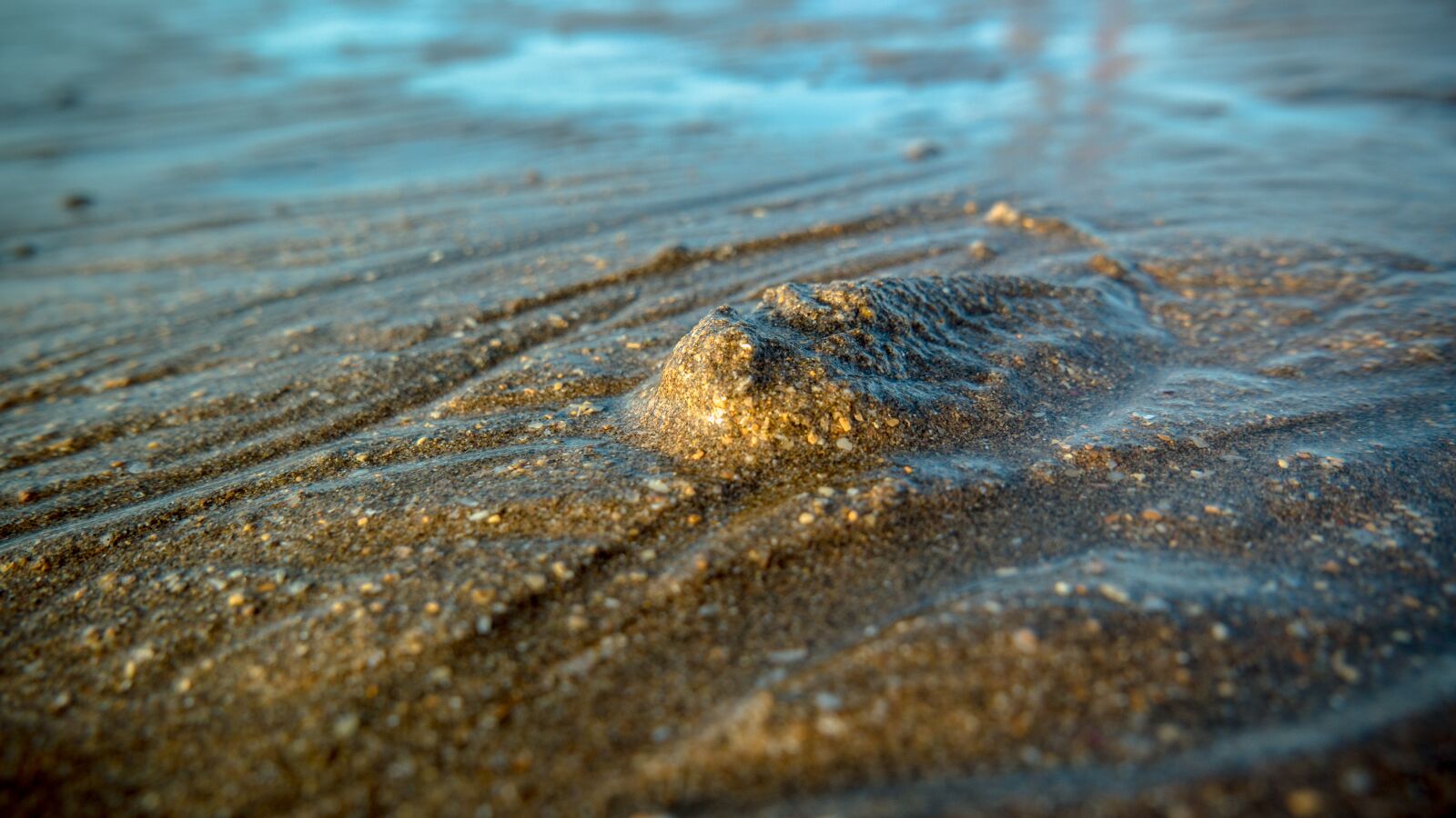 Panasonic Lumix DMC-LX100 sample photo. Sand, sea, grains of photography
