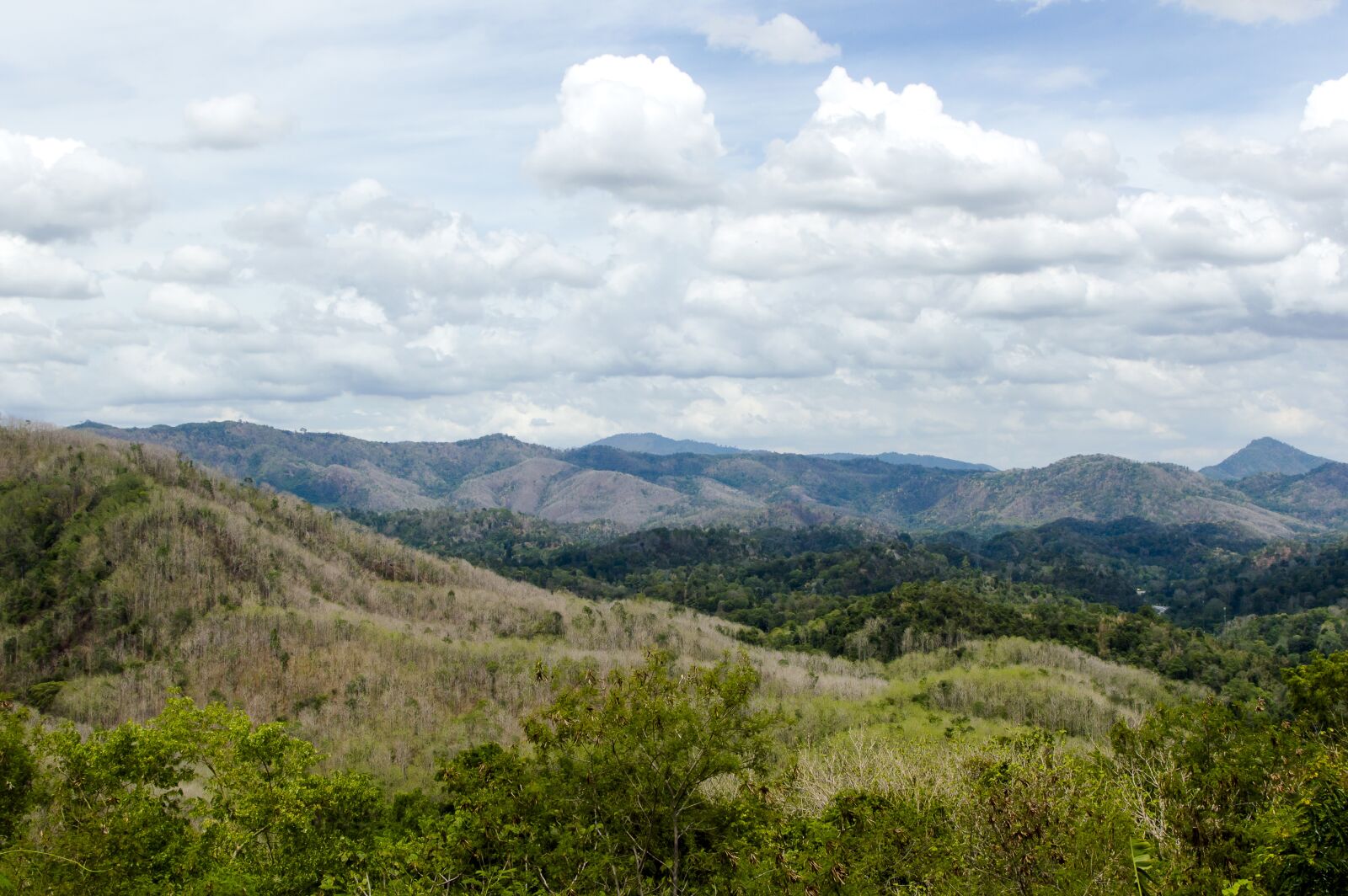 Nikon D3200 sample photo. Sky, background, outdoor photography
