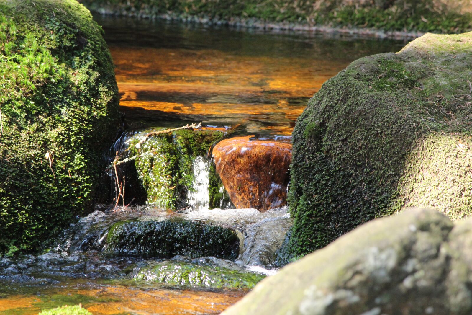 Canon EOS 650D (EOS Rebel T4i / EOS Kiss X6i) sample photo. Water, stones, bach photography