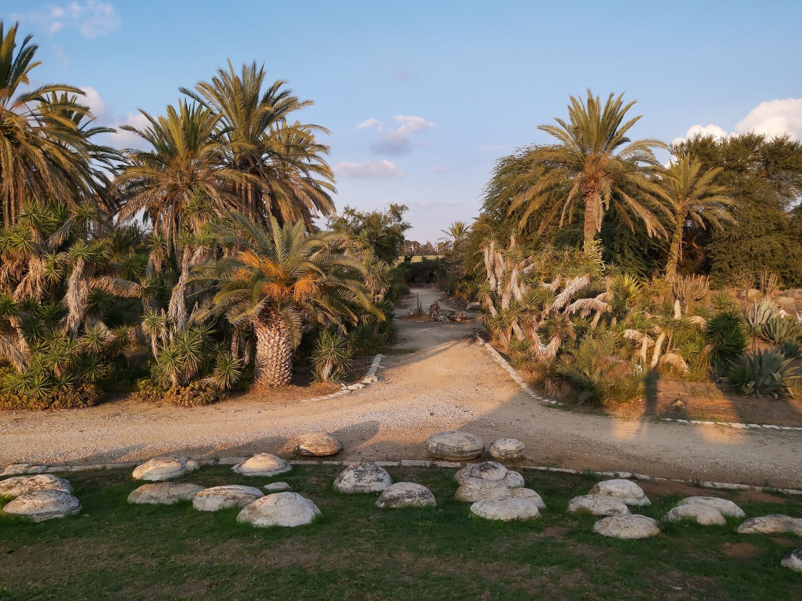 Samsung Galaxy A70 sample photo. Hayarkon park, tel aviv photography