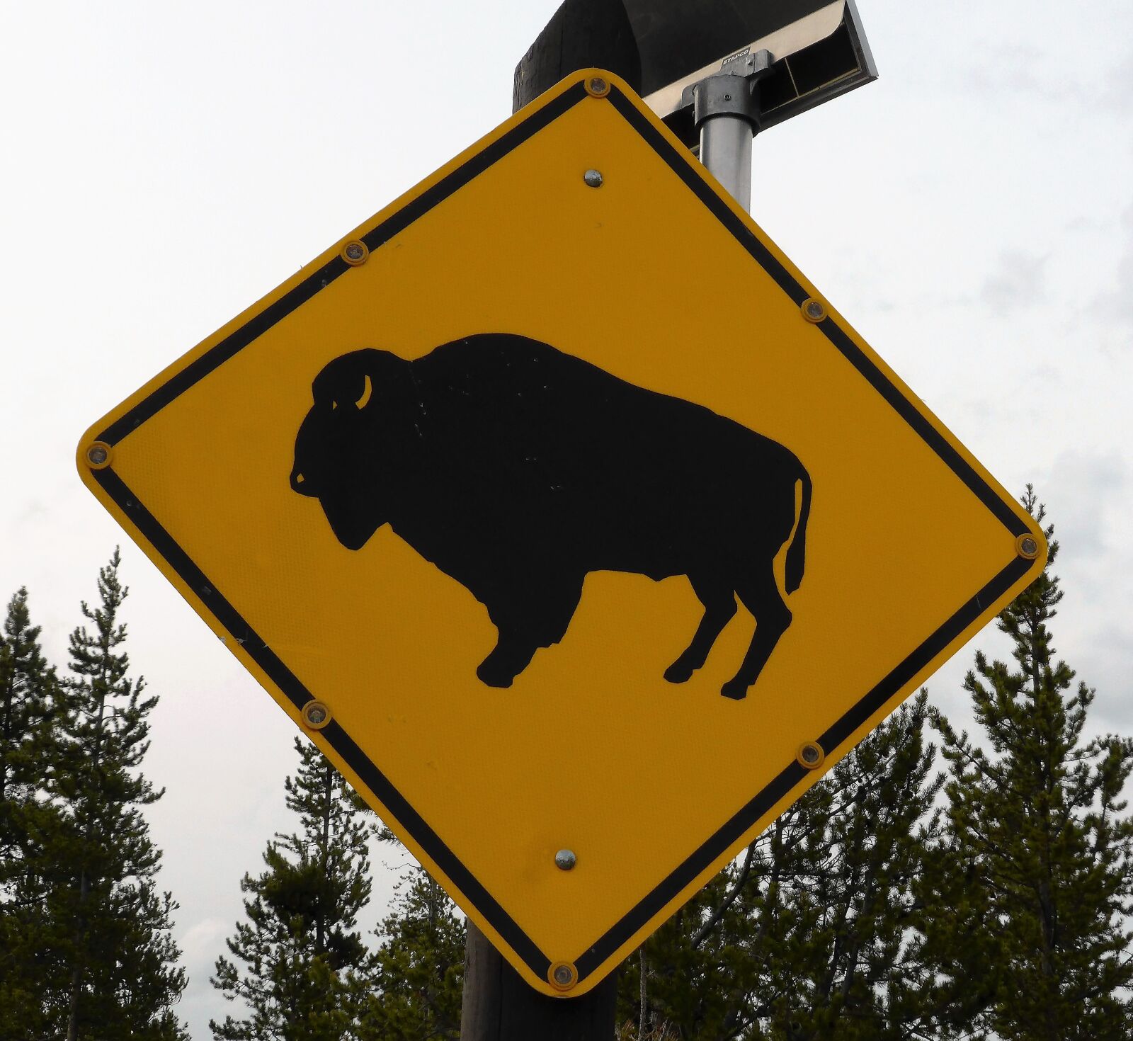 Panasonic Lumix DMC-ZS30 (Lumix DMC-TZ40) sample photo. Road sign, bison, yellow photography
