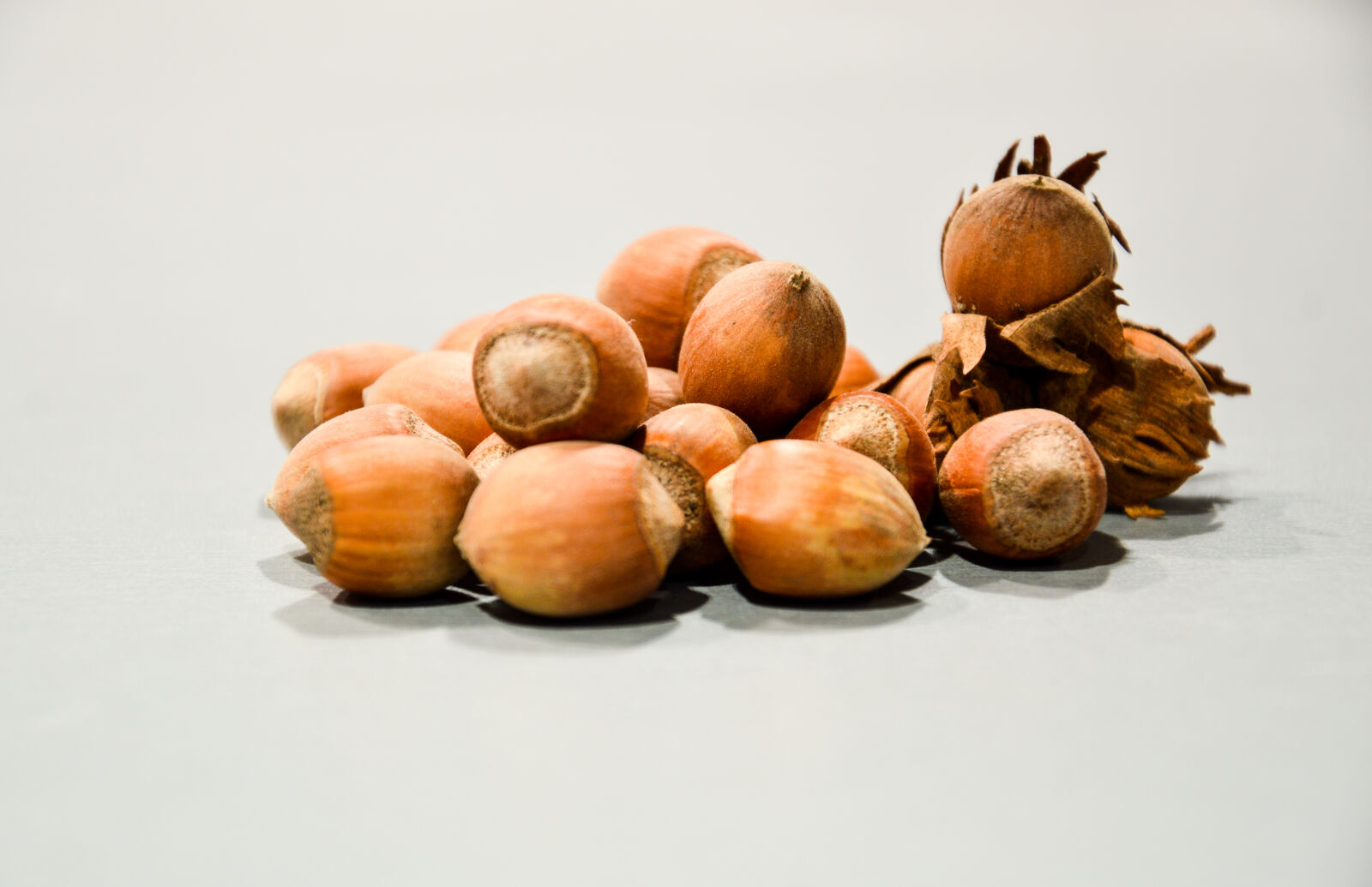 Nikon D3200 sample photo. Nuts photography