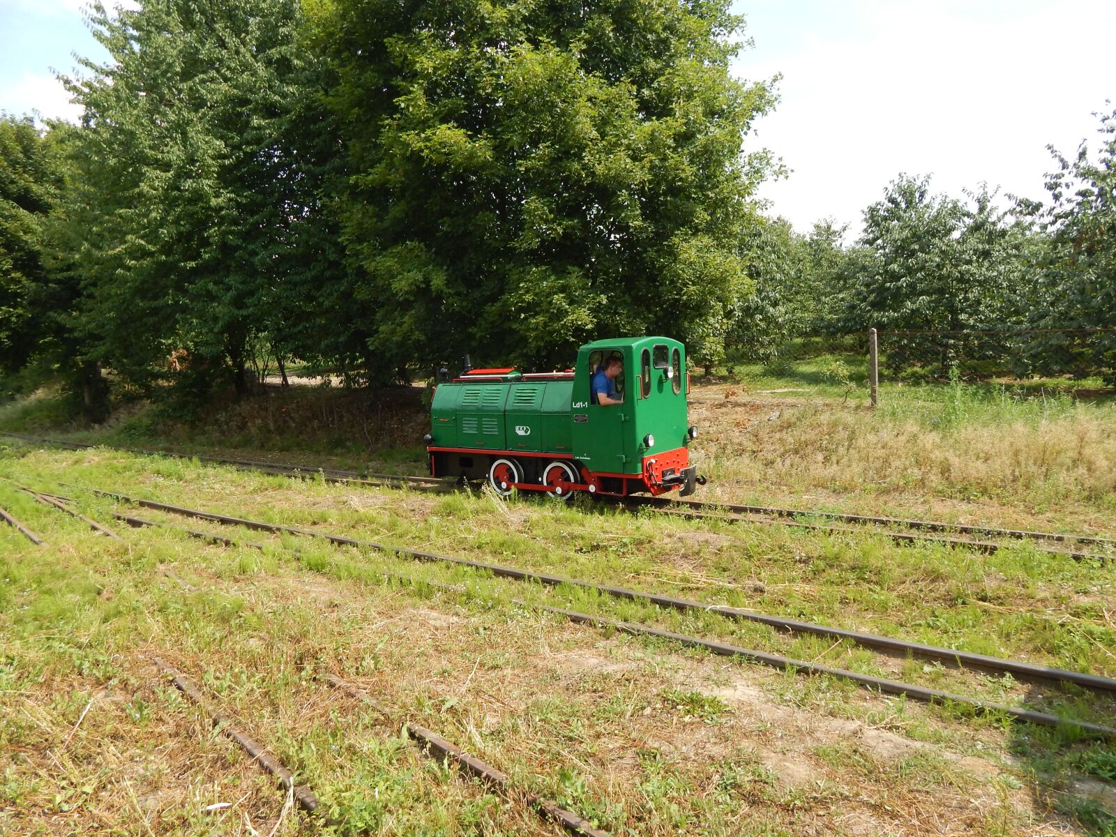 Nikon Coolpix L820 sample photo. Narrow-gauge railway, train, locomotive photography