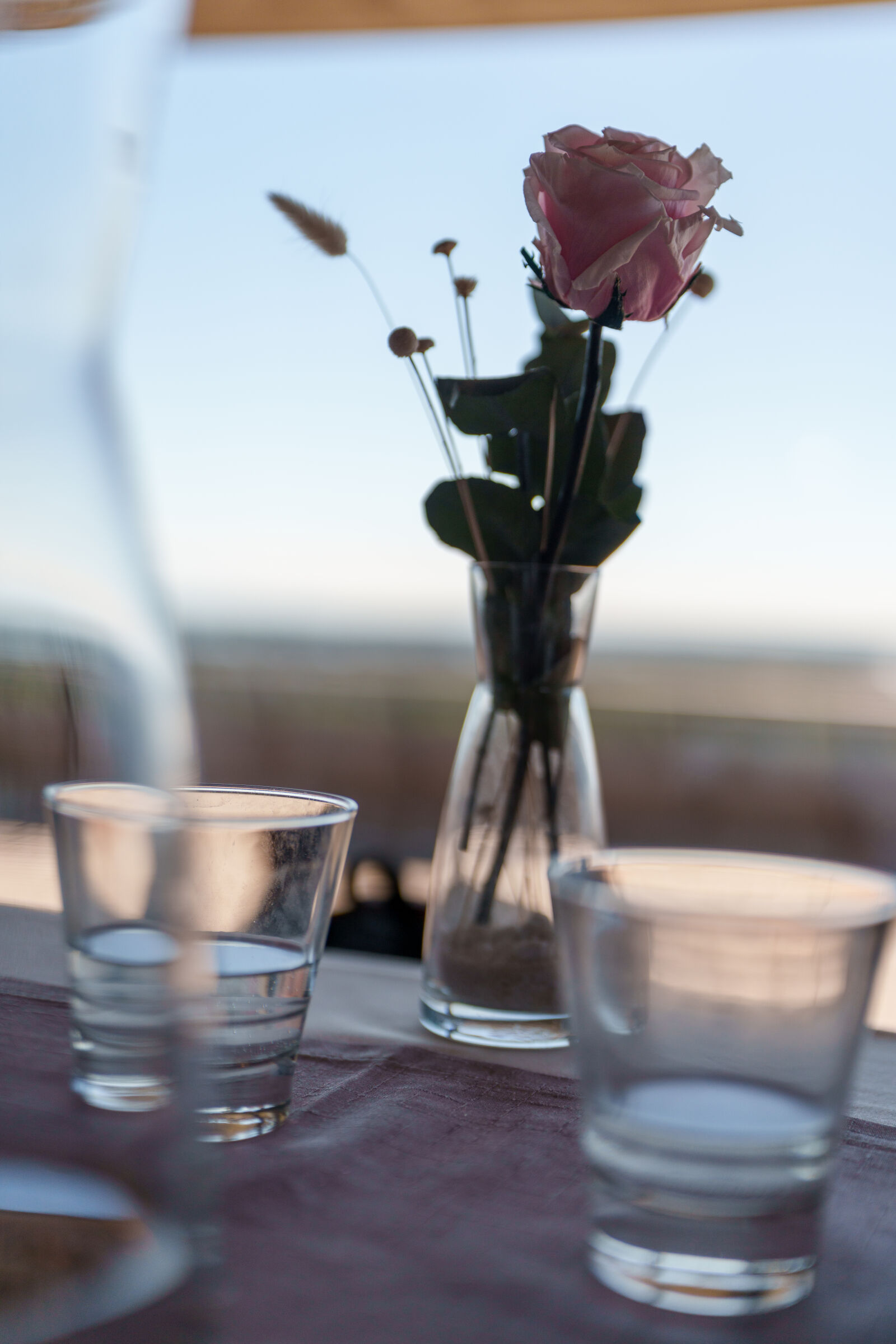 Sony a7R V sample photo. Flower on the restaurant photography