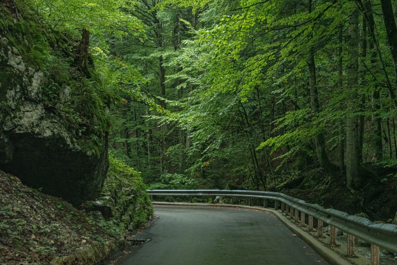 Nikon D500 sample photo. Mountains, road, curves photography