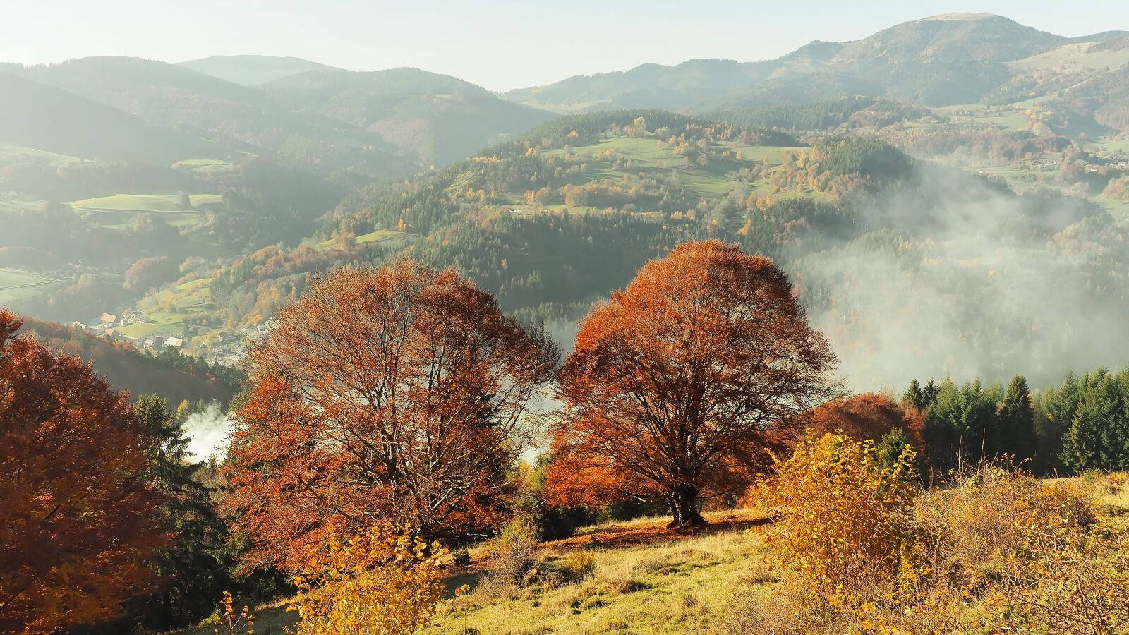 Olympus OM-D E-M1 + Olympus M.Zuiko Digital ED 12-40mm F2.8 Pro sample photo. Autumn landscape, mountain, landscape photography