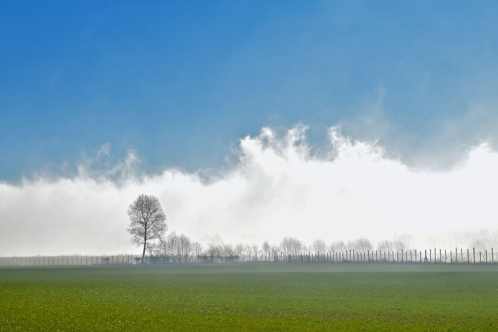 Nikon D5500 sample photo. Landscape, fog, nature photography