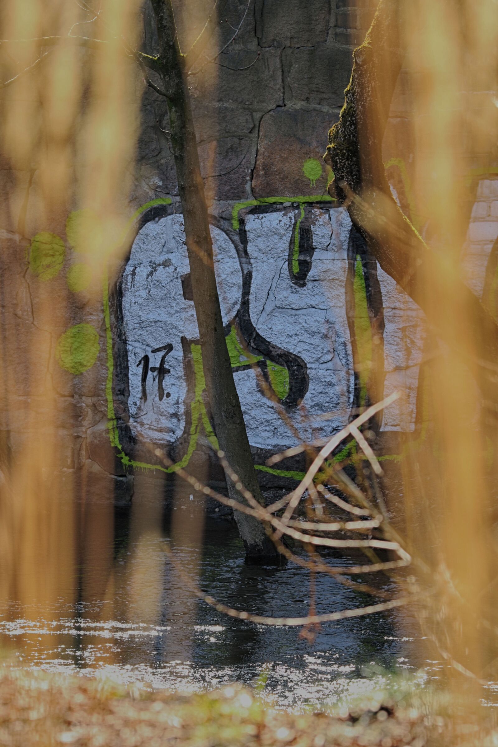 Canon EOS 7D Mark II + Canon EF 135mm F2L USM sample photo. Nature, water, outdoors photography