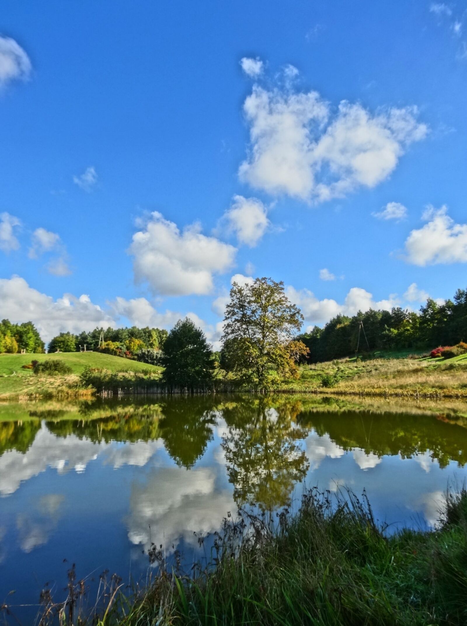 Sony Cyber-shot DSC-HX20V sample photo. Bydgoszcz, botanical garden, lake photography