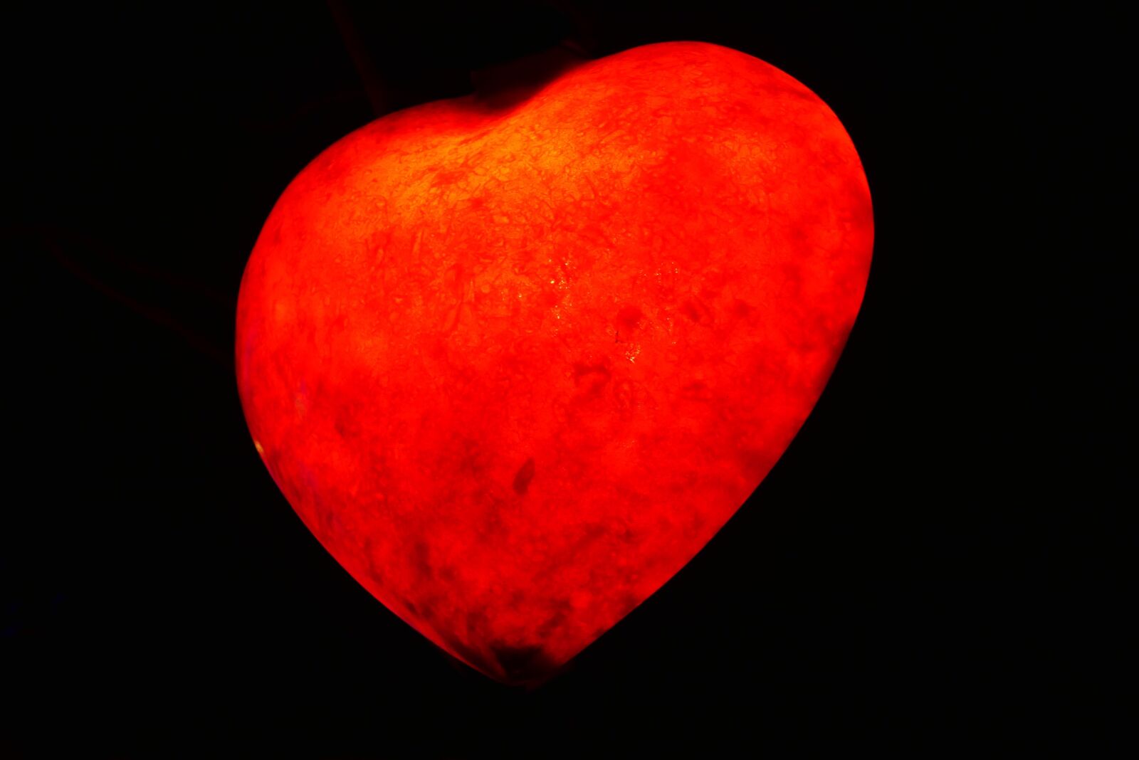 Panasonic Lumix DMC-G7 sample photo. Heart, love, the heart photography