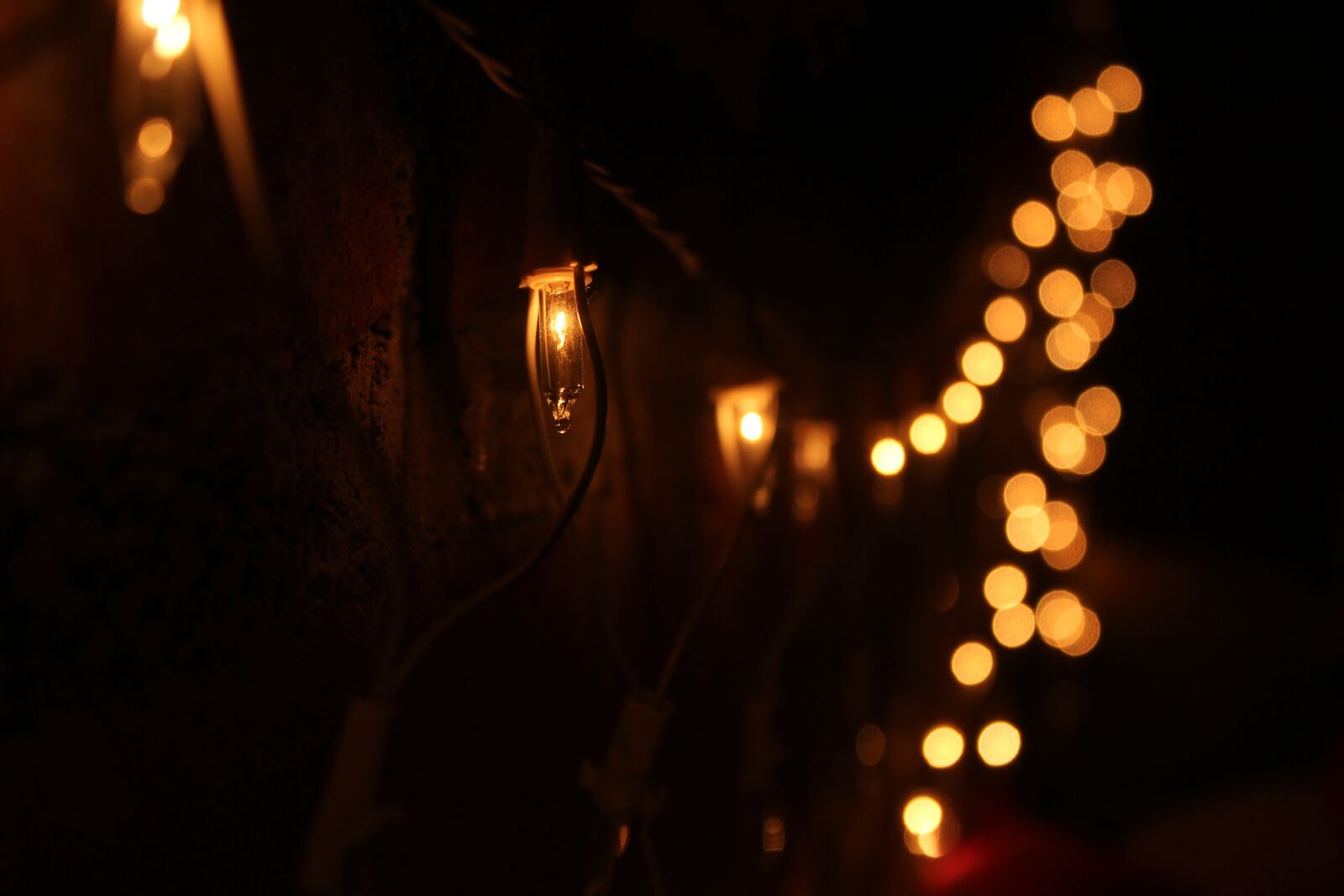 Canon EOS 1200D (EOS Rebel T5 / EOS Kiss X70 / EOS Hi) sample photo. Christmas, lights, flash photography