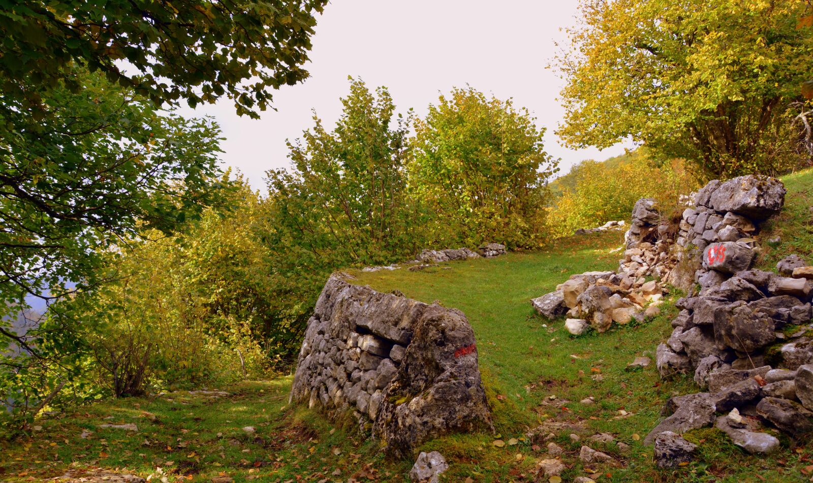 Nikon D7100 sample photo. Crossroads, trail, sassi photography