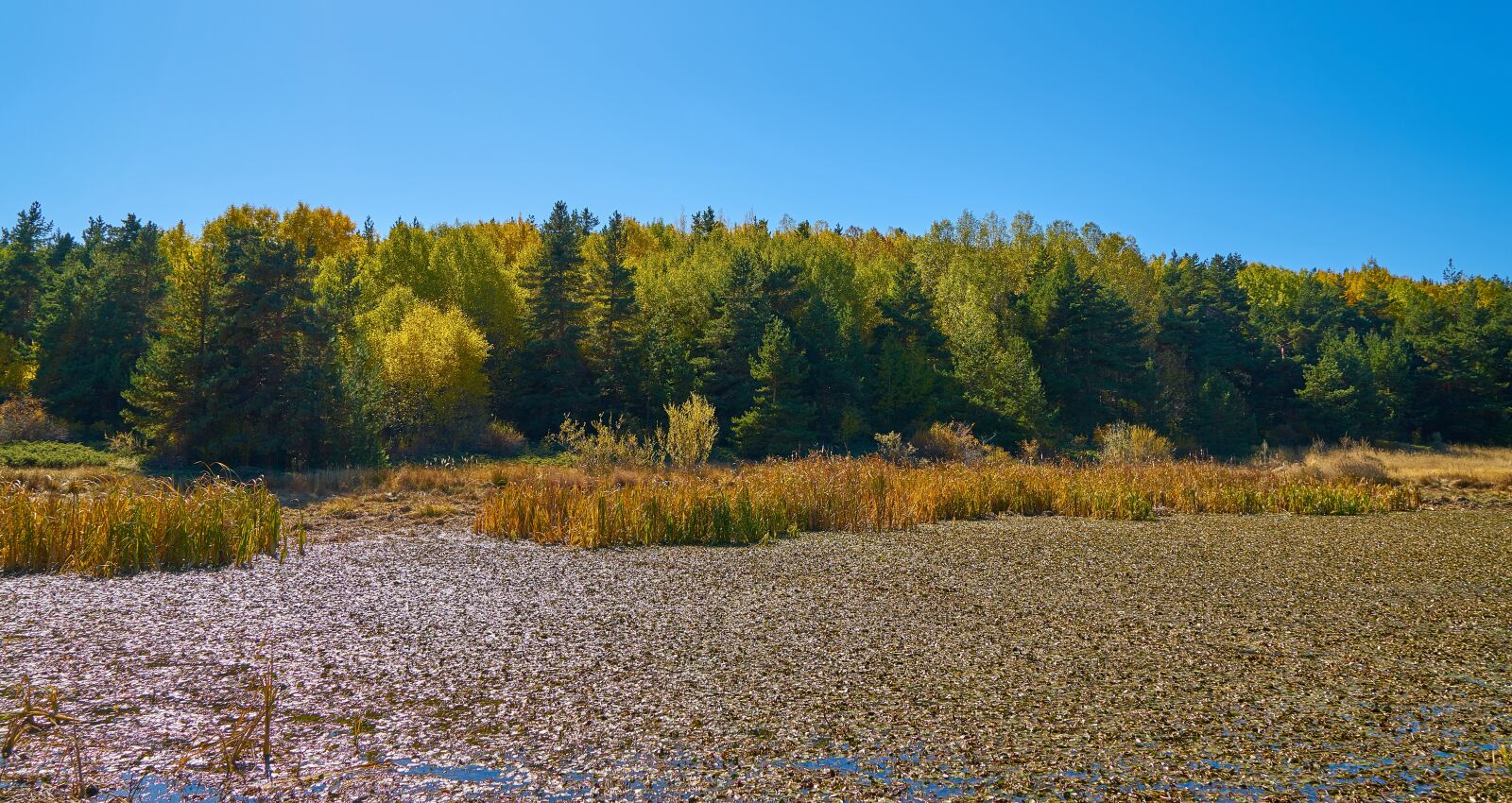 Sony a7R II sample photo. Autumn, season, landscape photography