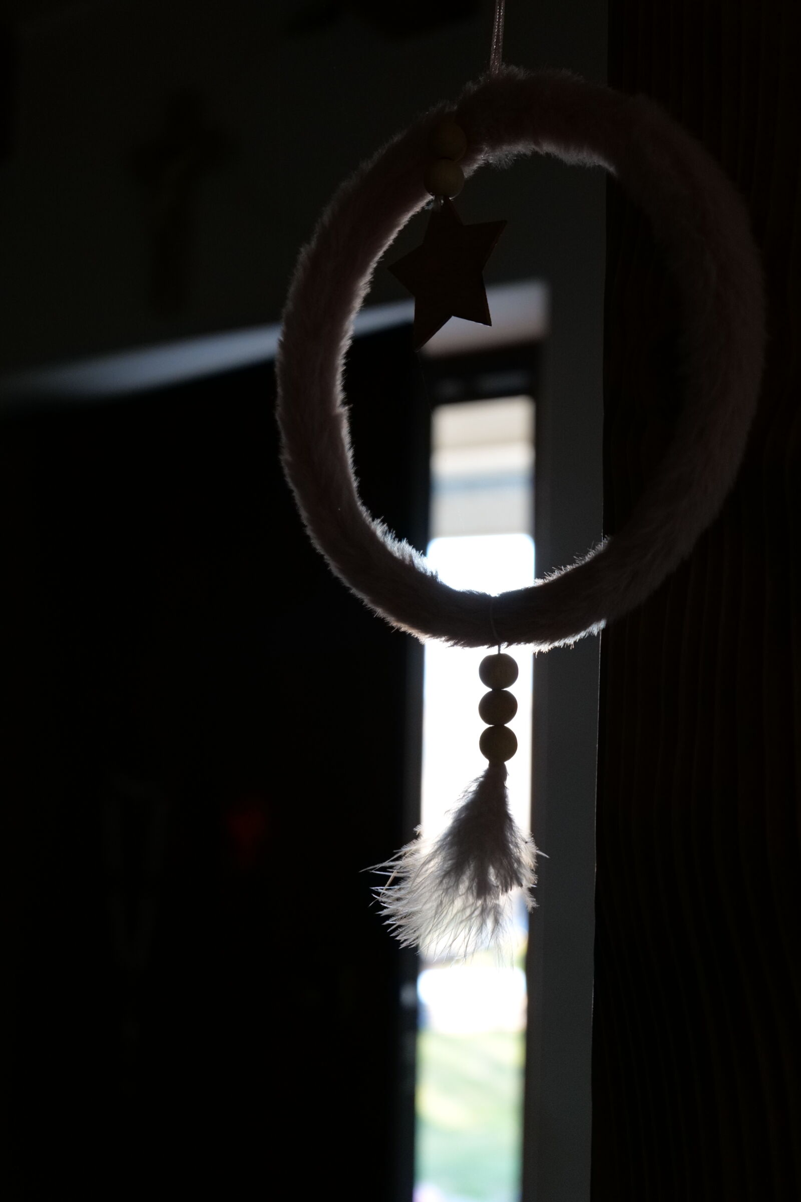Panasonic DC-S5D sample photo