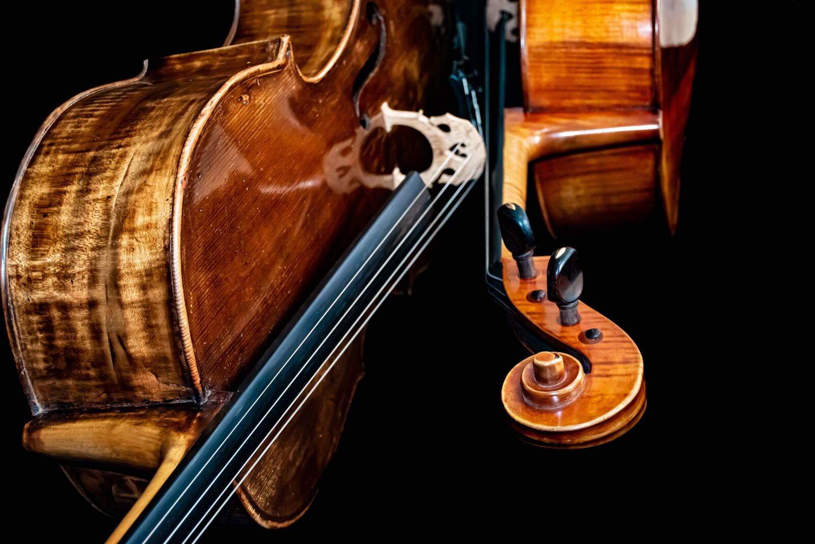 Nikon D5600 sample photo. Cello, characters, classical music photography