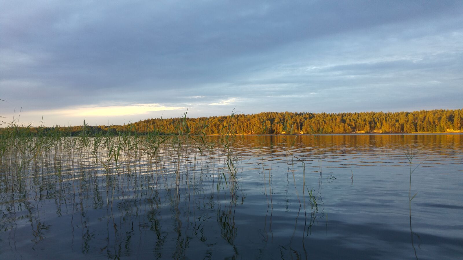 LG G4 sample photo. Finland, lake, nature, trees photography