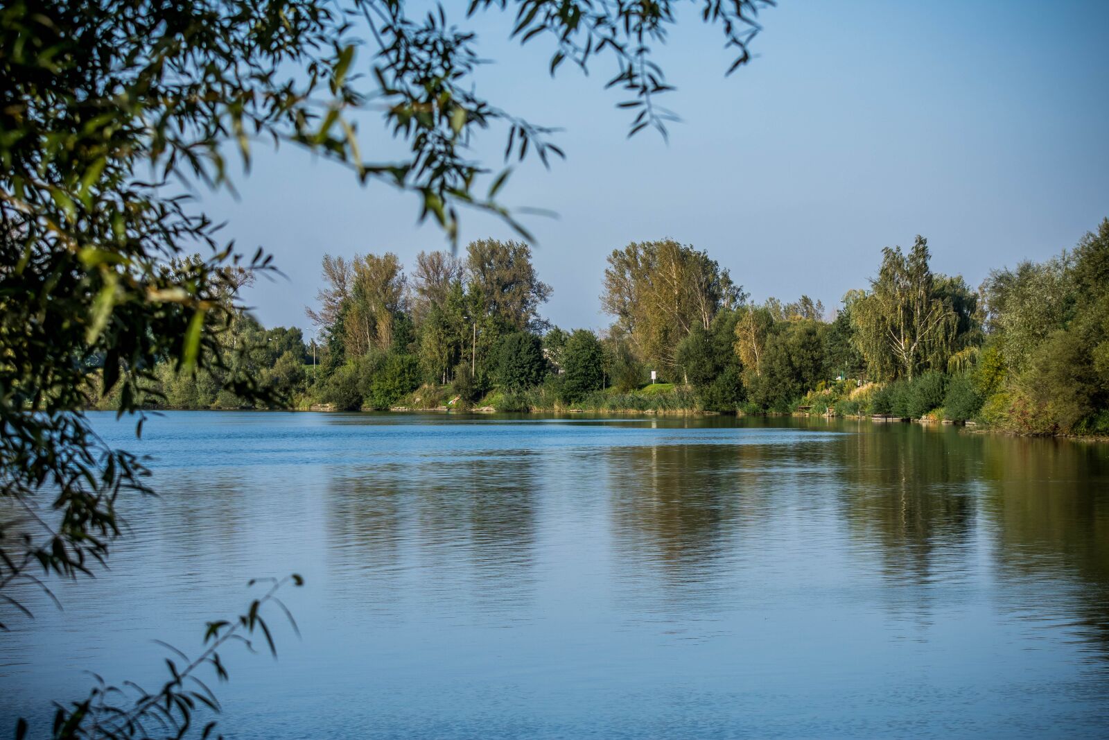 Nikon D7200 sample photo. Lake, water, tree photography