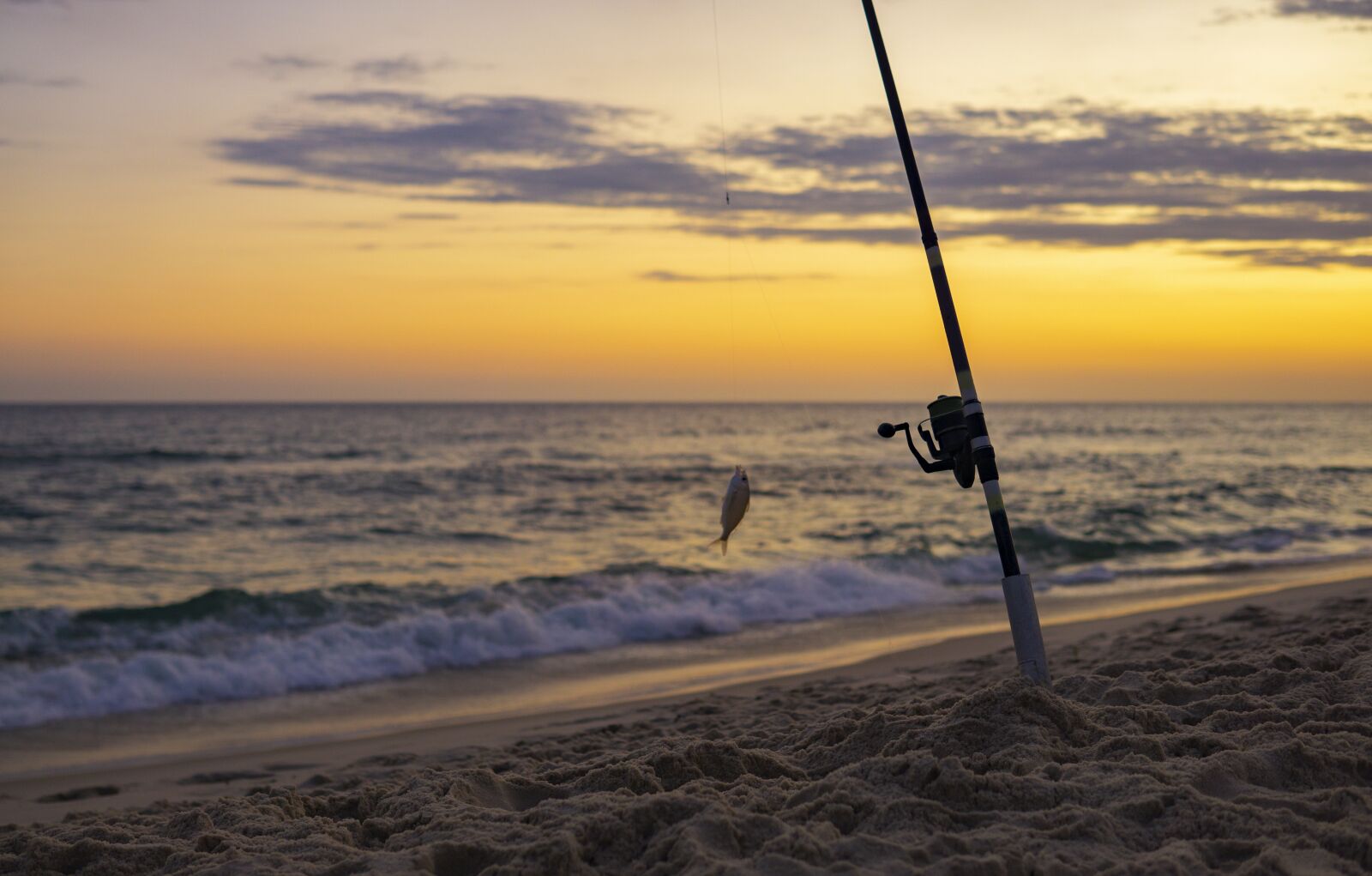 30mm F1.4 DC DN | Contemporary 016 sample photo. Ocean beach, fishing, bait photography