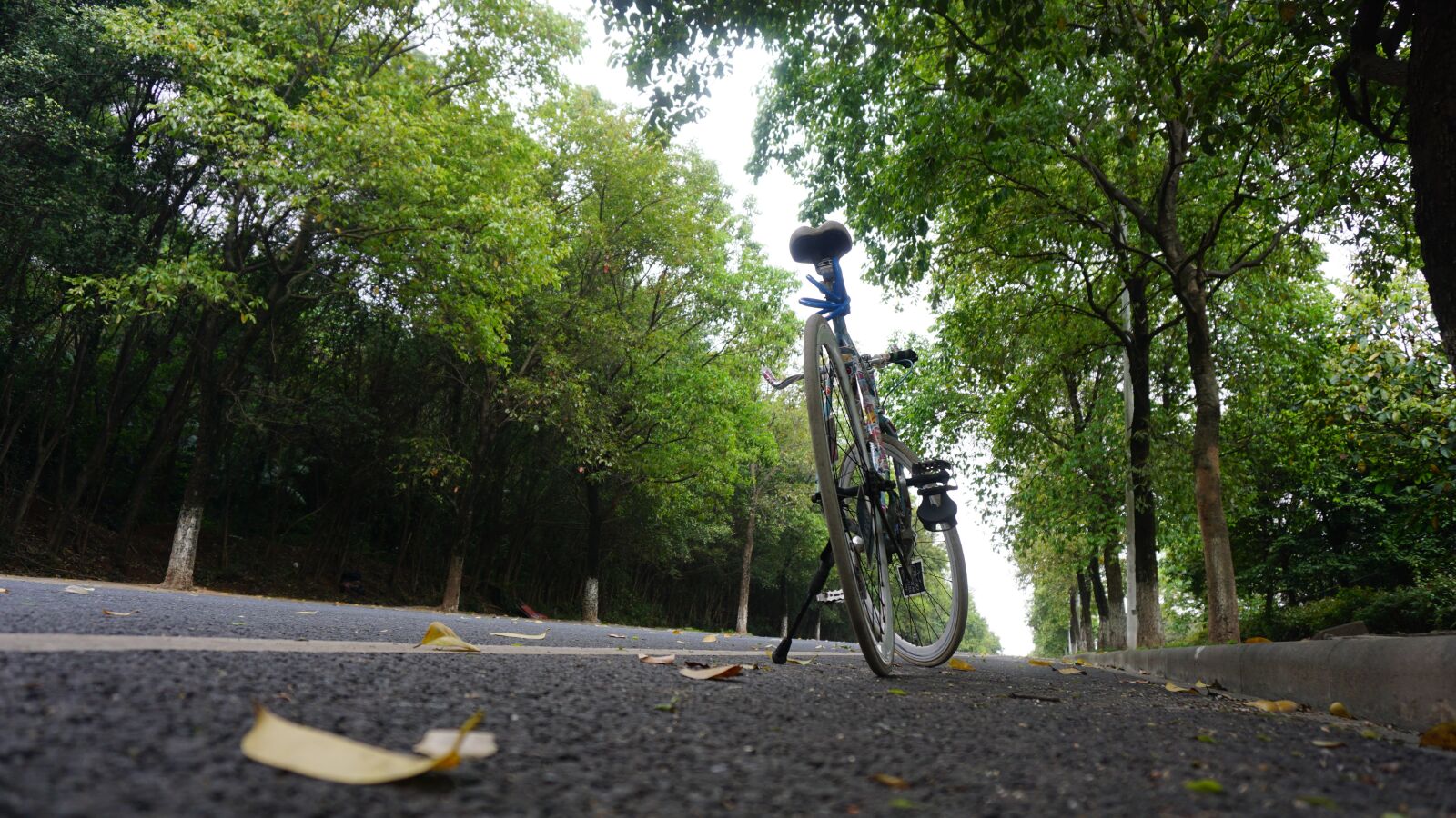 Sony a6000 sample photo. Bike, natural, the scenery photography