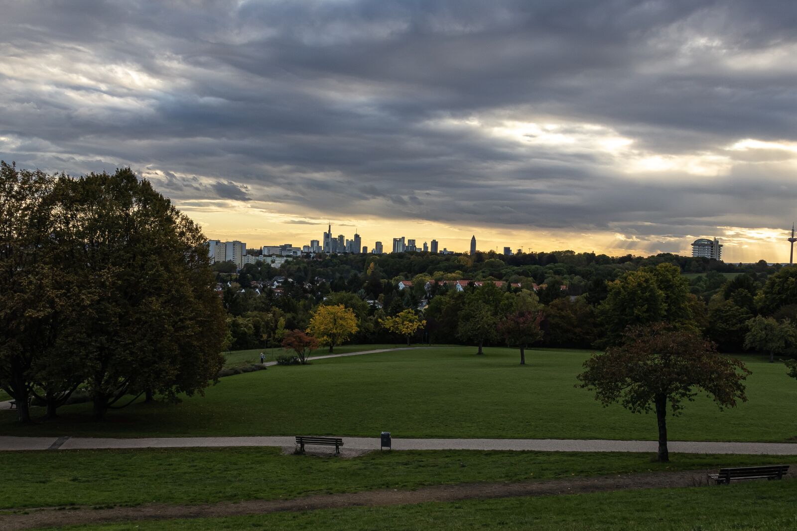 Canon EOS 77D (EOS 9000D / EOS 770D) sample photo. Tree, grass, park photography
