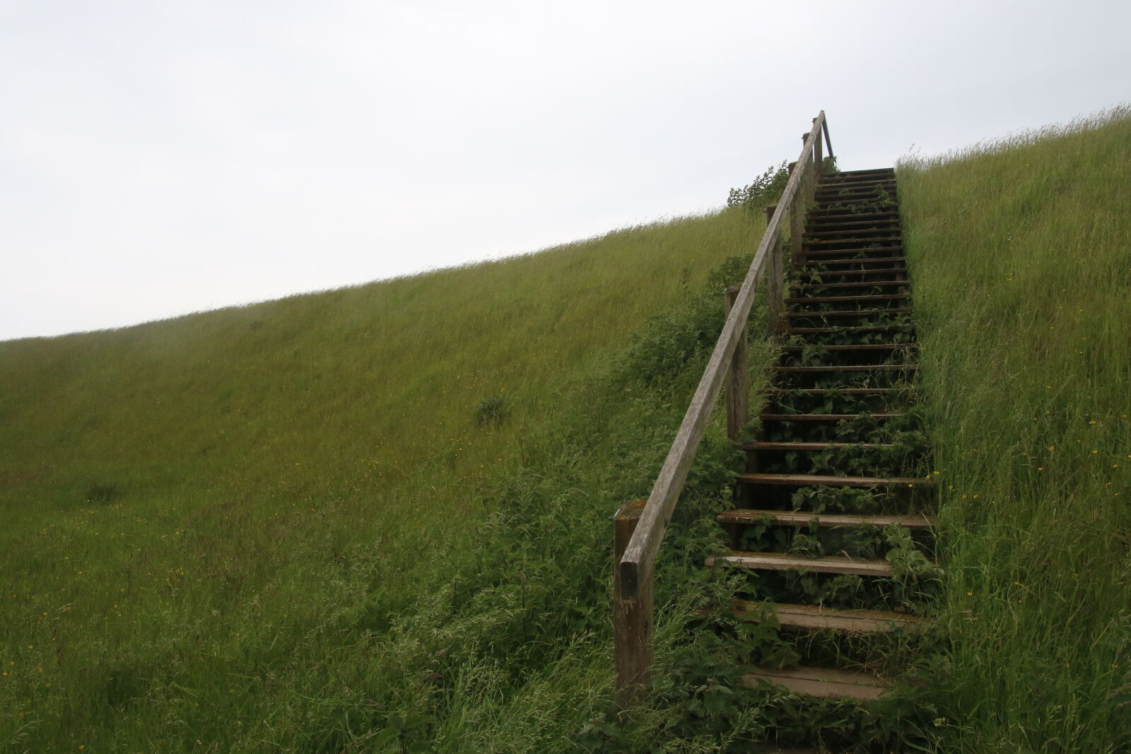 Canon EOS 7D Mark II sample photo. Climb, country, field, grass photography