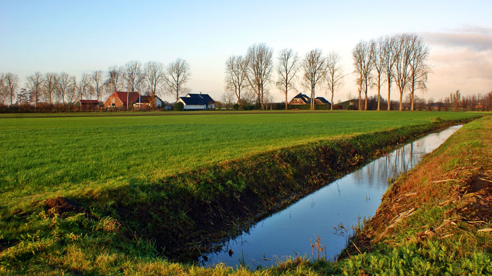 Sony Alpha DSLR-A350 sample photo. Morning, pasture, row photography
