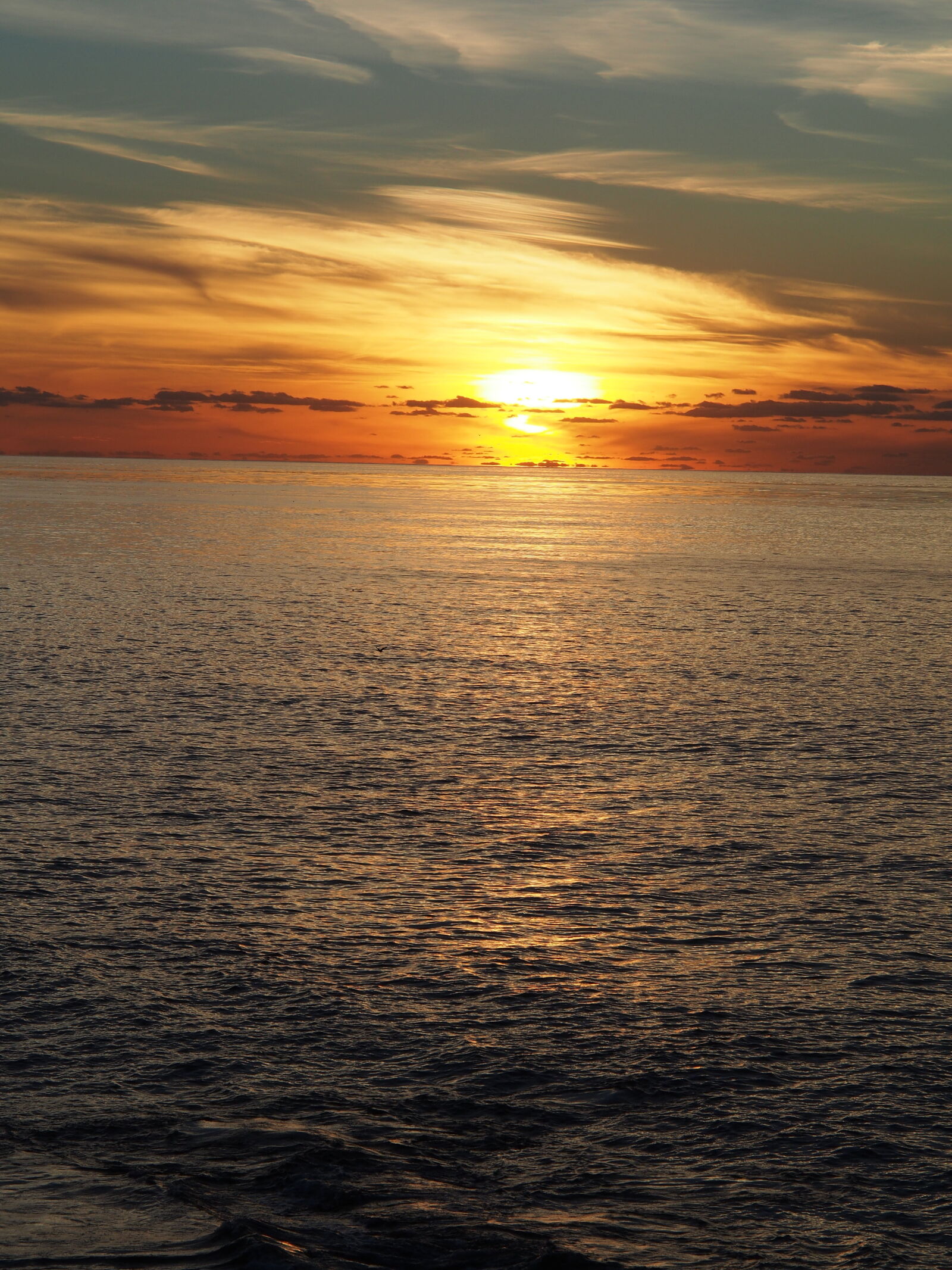 Olympus OM-D E-M5 sample photo. Ocean, sunset photography