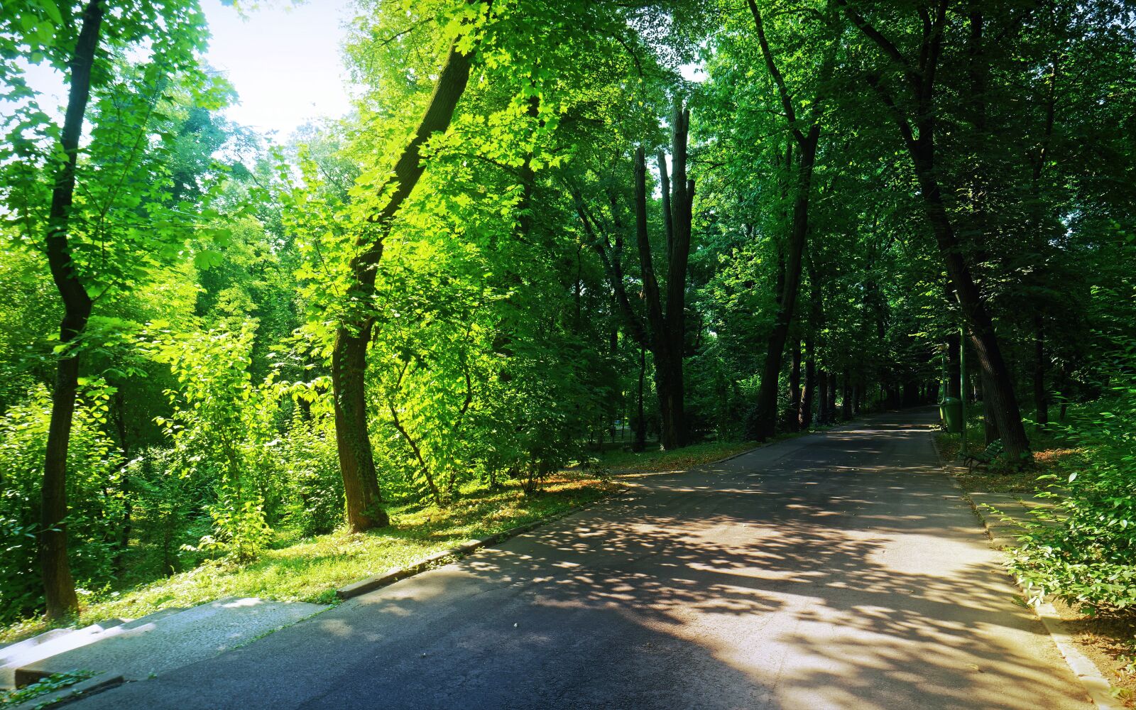 Nikon D5300 sample photo. Landscape, nature, park photography