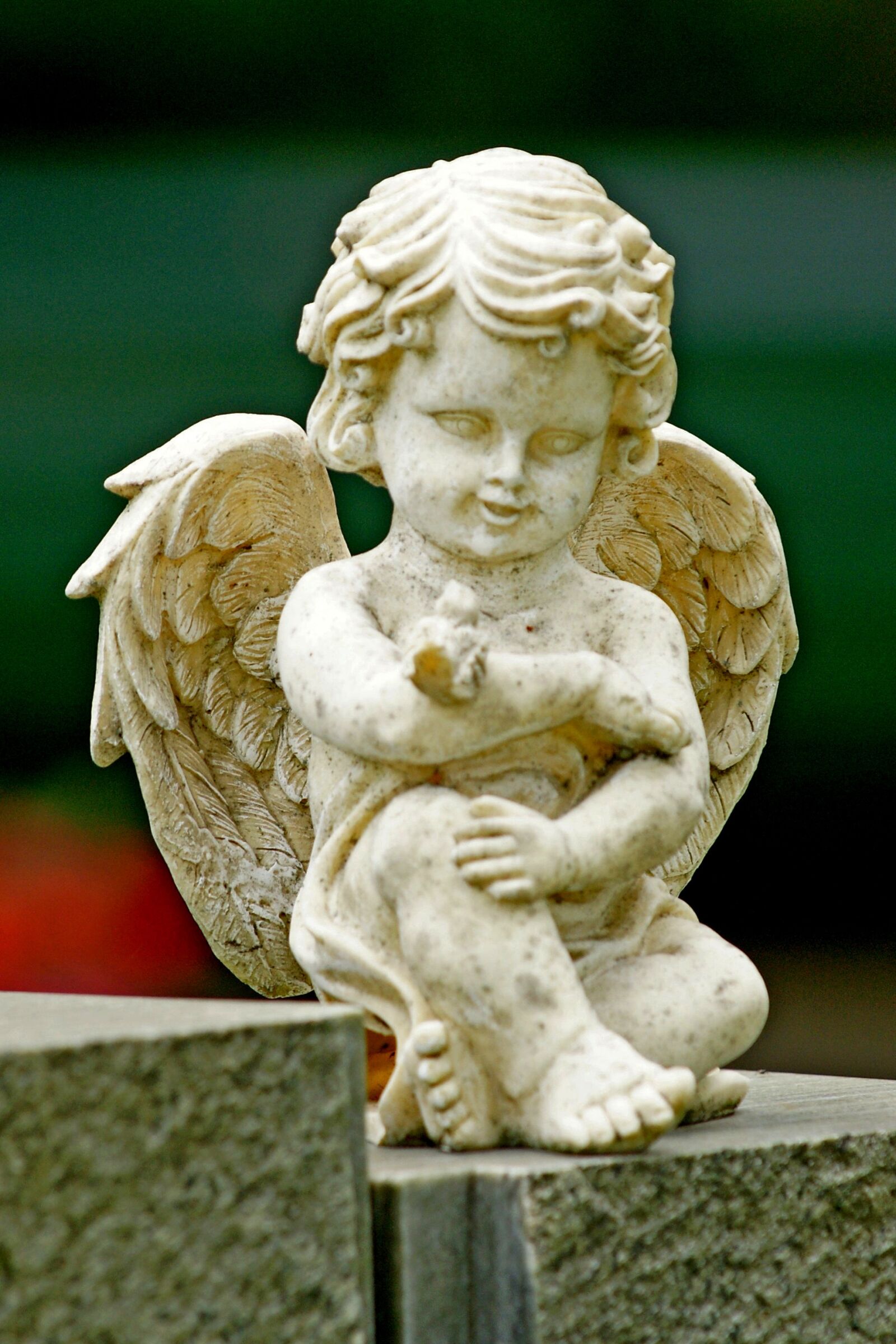 Sony Alpha DSLR-A700 sample photo. Angel, angel figure, cemetery photography