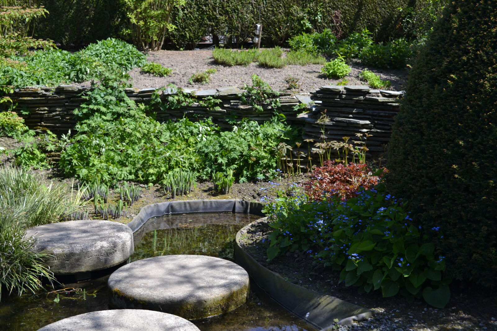 Nikon D3100 sample photo. Greenery, mevrouw, s, mylifewiths photography