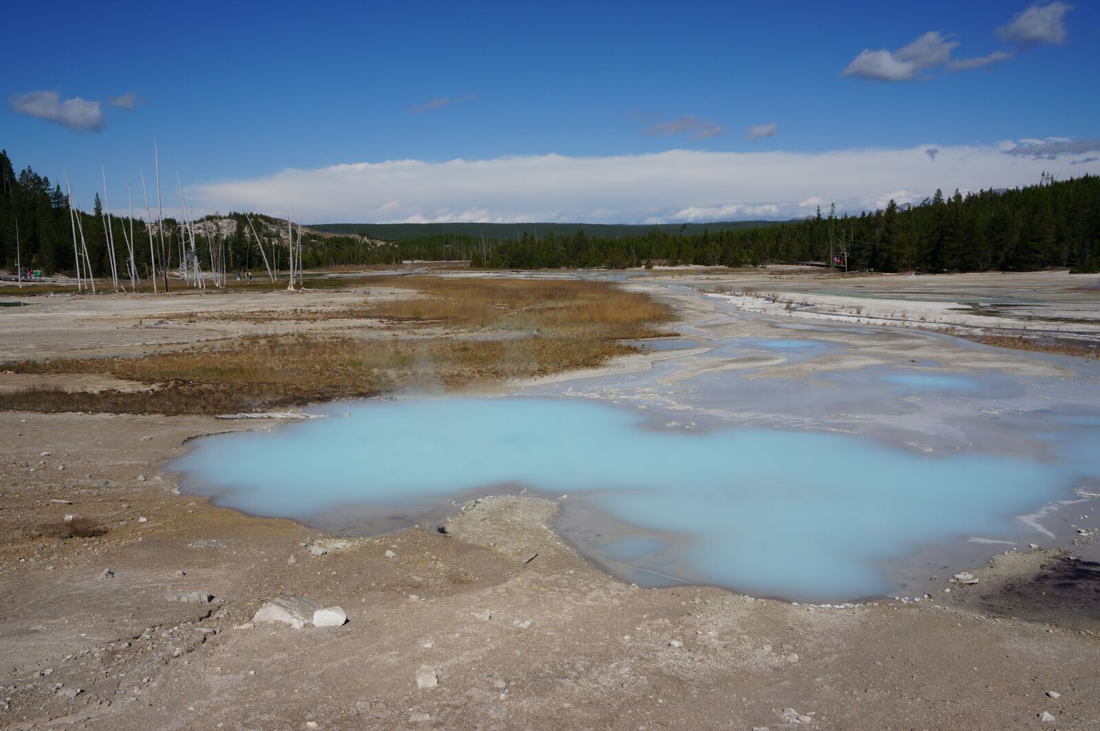 Sony Alpha NEX-6 sample photo. Yellowstone, geezer, usa photography