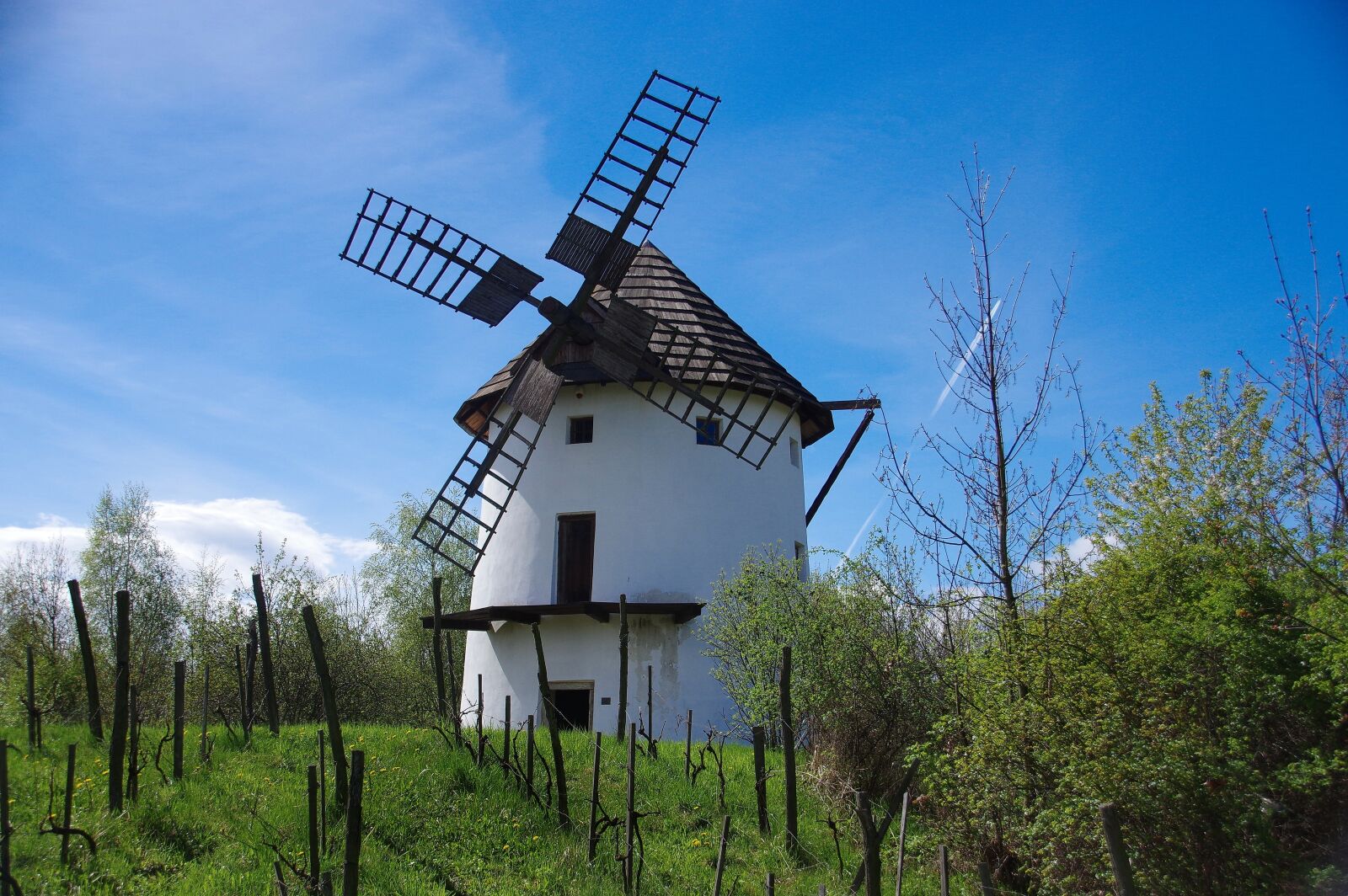 Pentax K-3 sample photo. Mill, windmill, skanzen photography