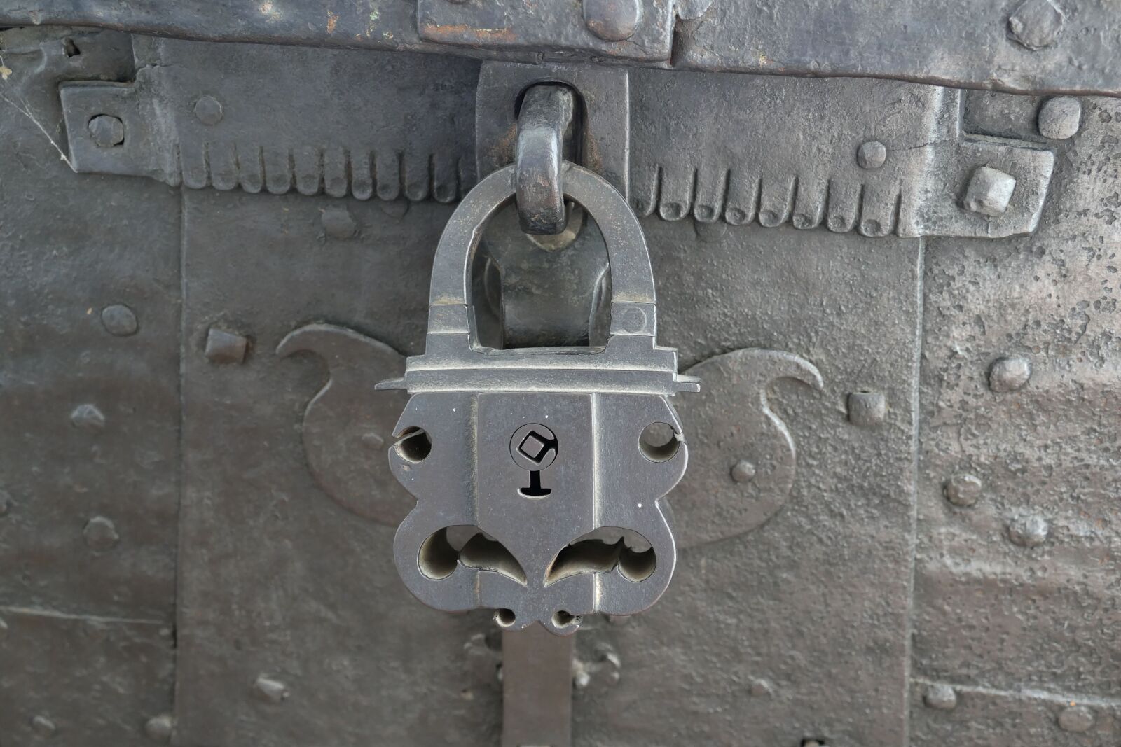 Panasonic Lumix DMC-FZ1000 sample photo. Iron, security, close photography