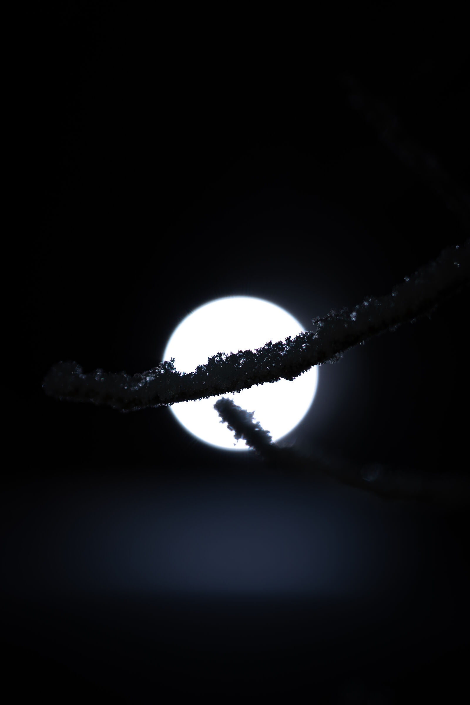 Nikon Z6 III sample photo