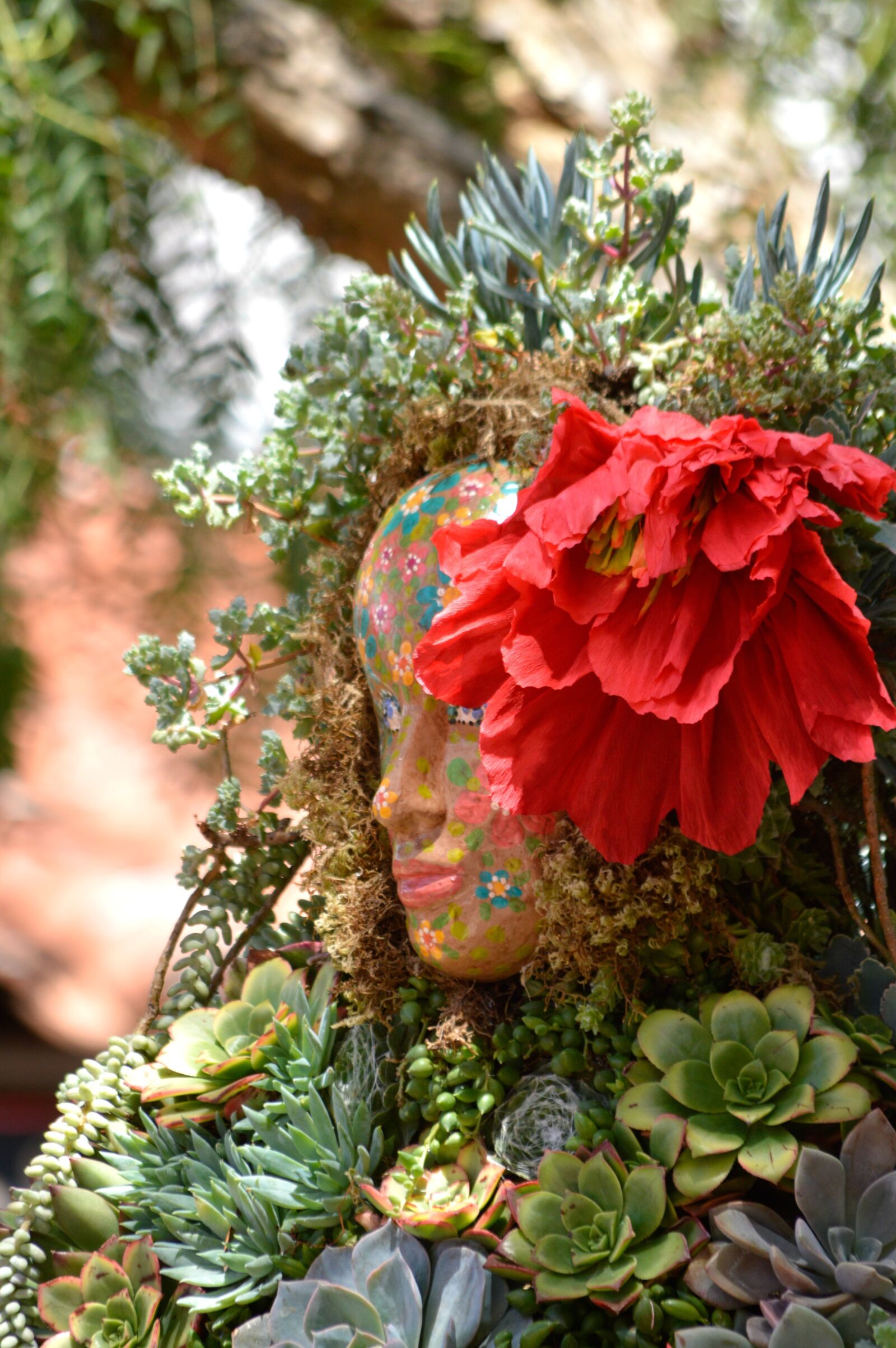 Nikon D3200 sample photo. Succulents, planter, garden photography