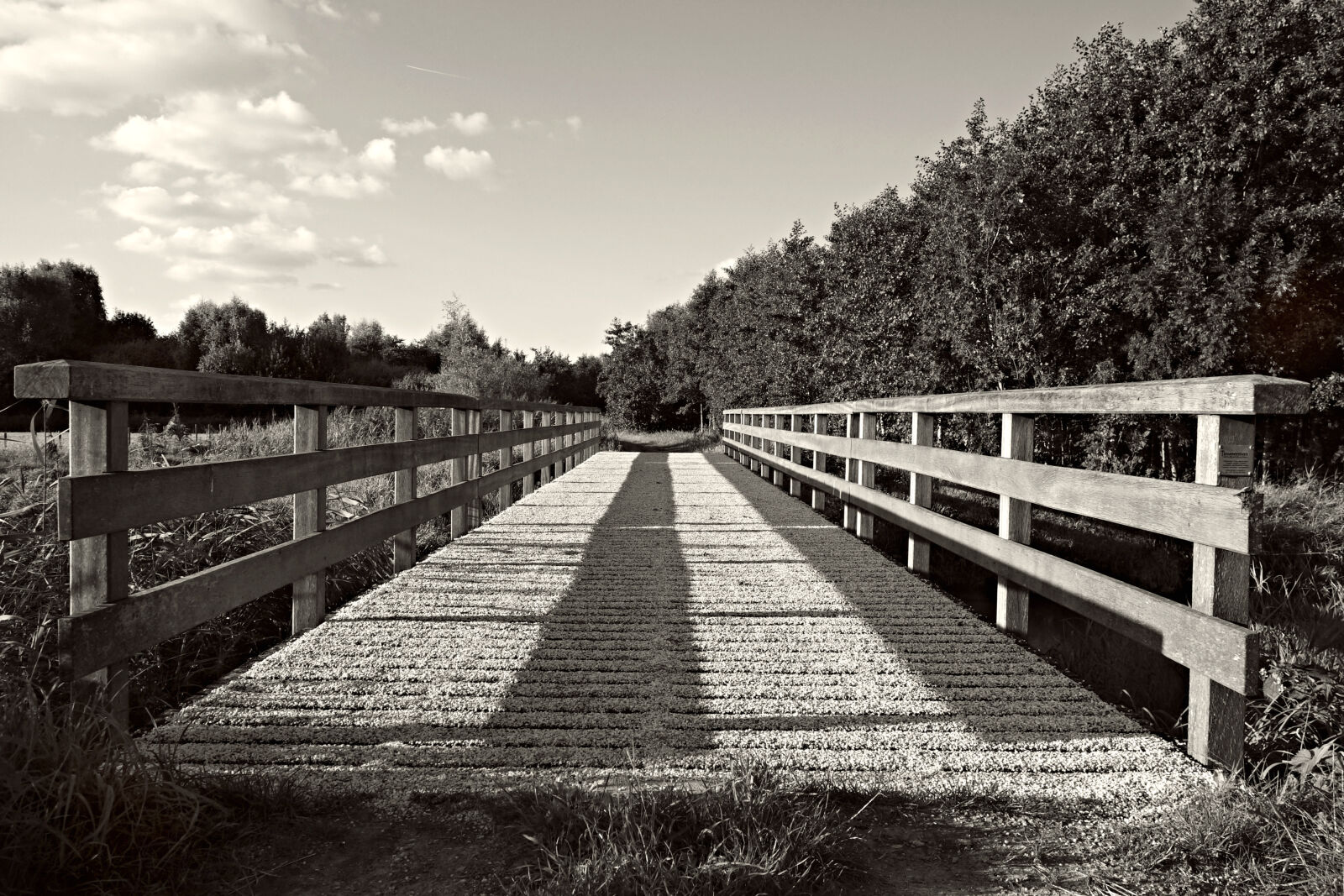 Sony Cyber-shot DSC-RX100 sample photo. Grayscale, photography, of, bridge photography