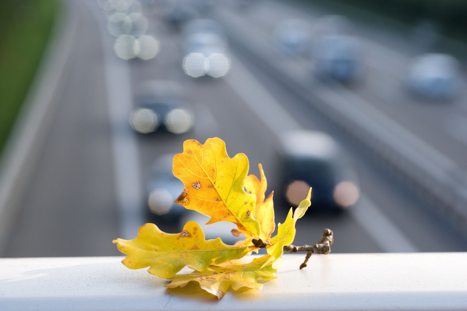 Sony ILCA-77M2 sample photo. Highway, autos, autumn photography