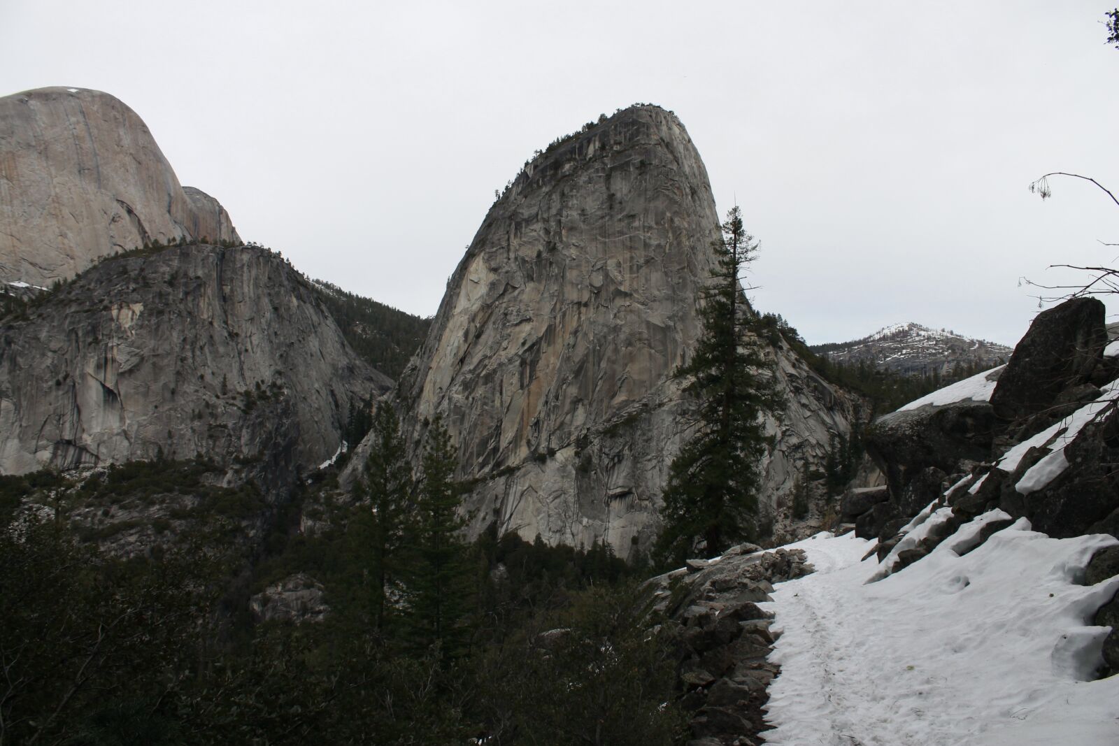 Canon EOS 1100D (EOS Rebel T3 / EOS Kiss X50) sample photo. Yosemite, forest, park photography