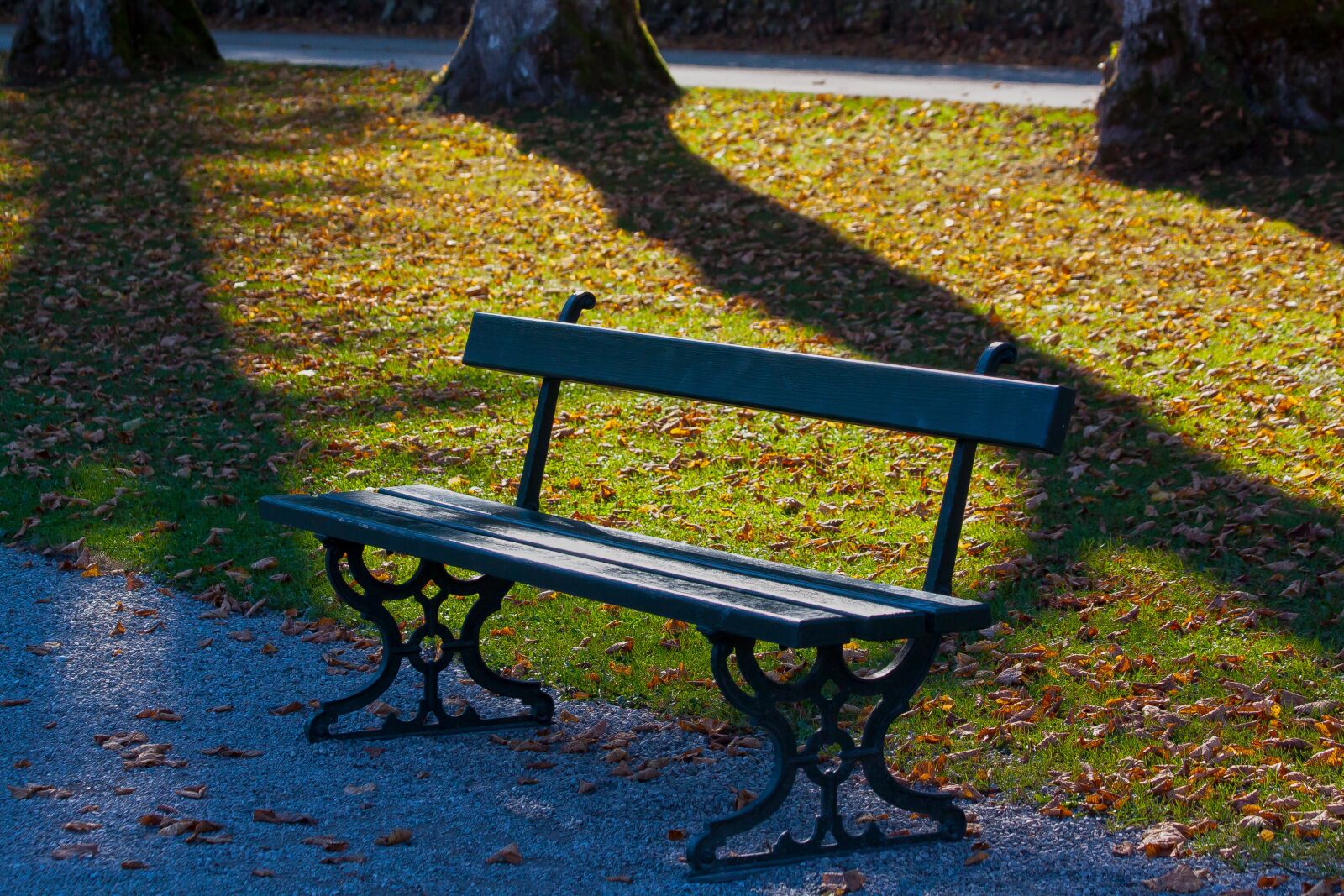 Canon EOS 50D + Canon EF 70-300mm F4-5.6 IS USM sample photo. Park, park bench, bank photography
