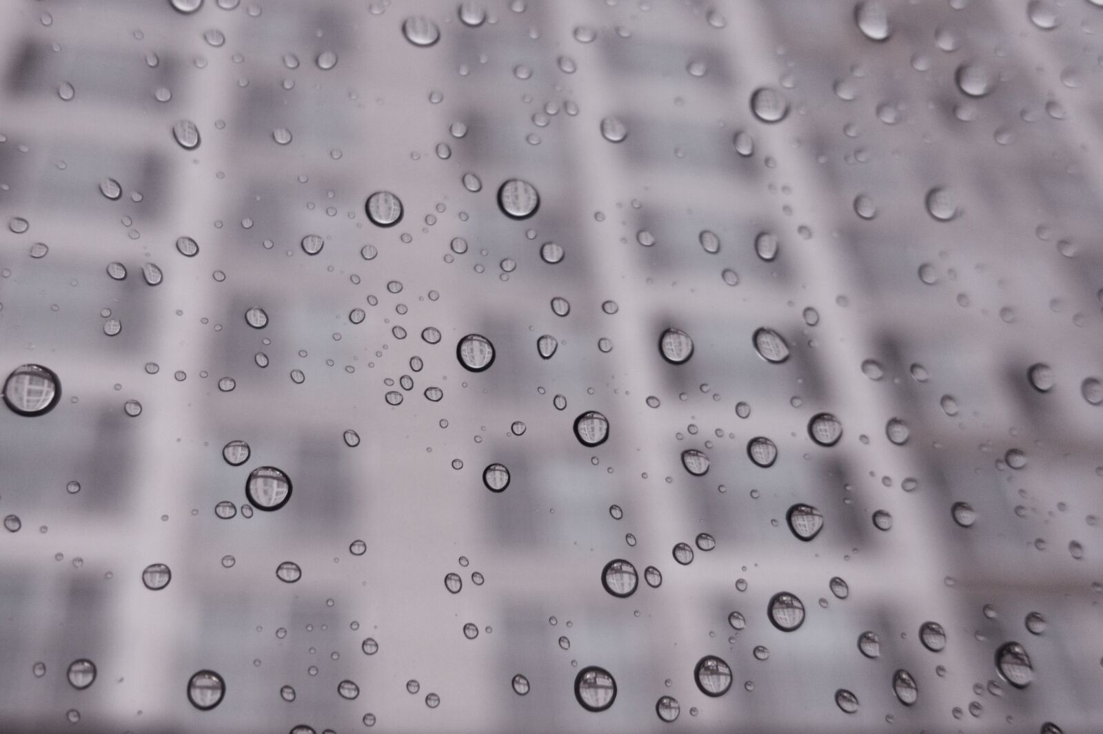 Samsung Galaxy Note5 sample photo. Non, dew, water photography