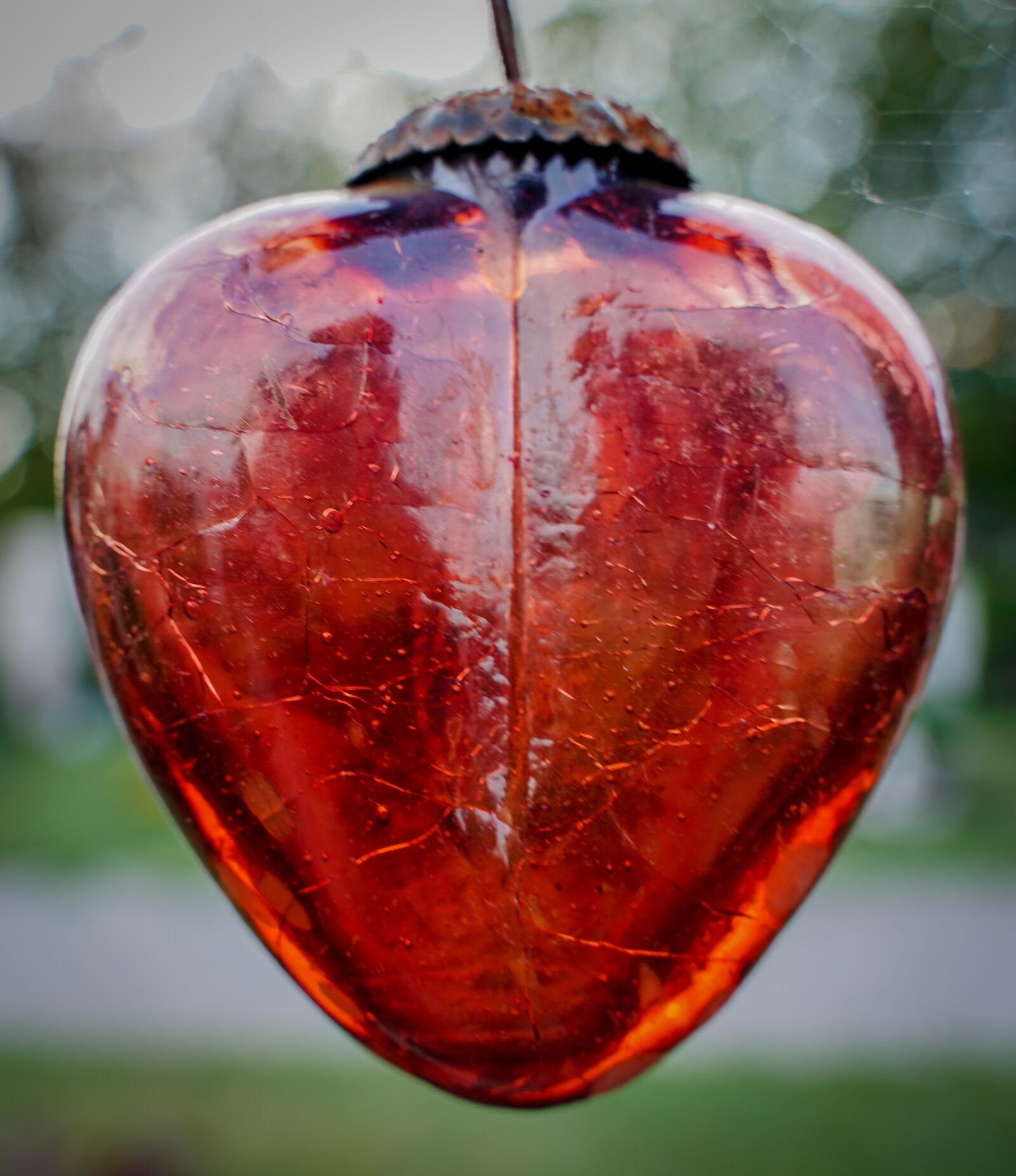 Sony a7 III sample photo. Heart, red heart, glass photography