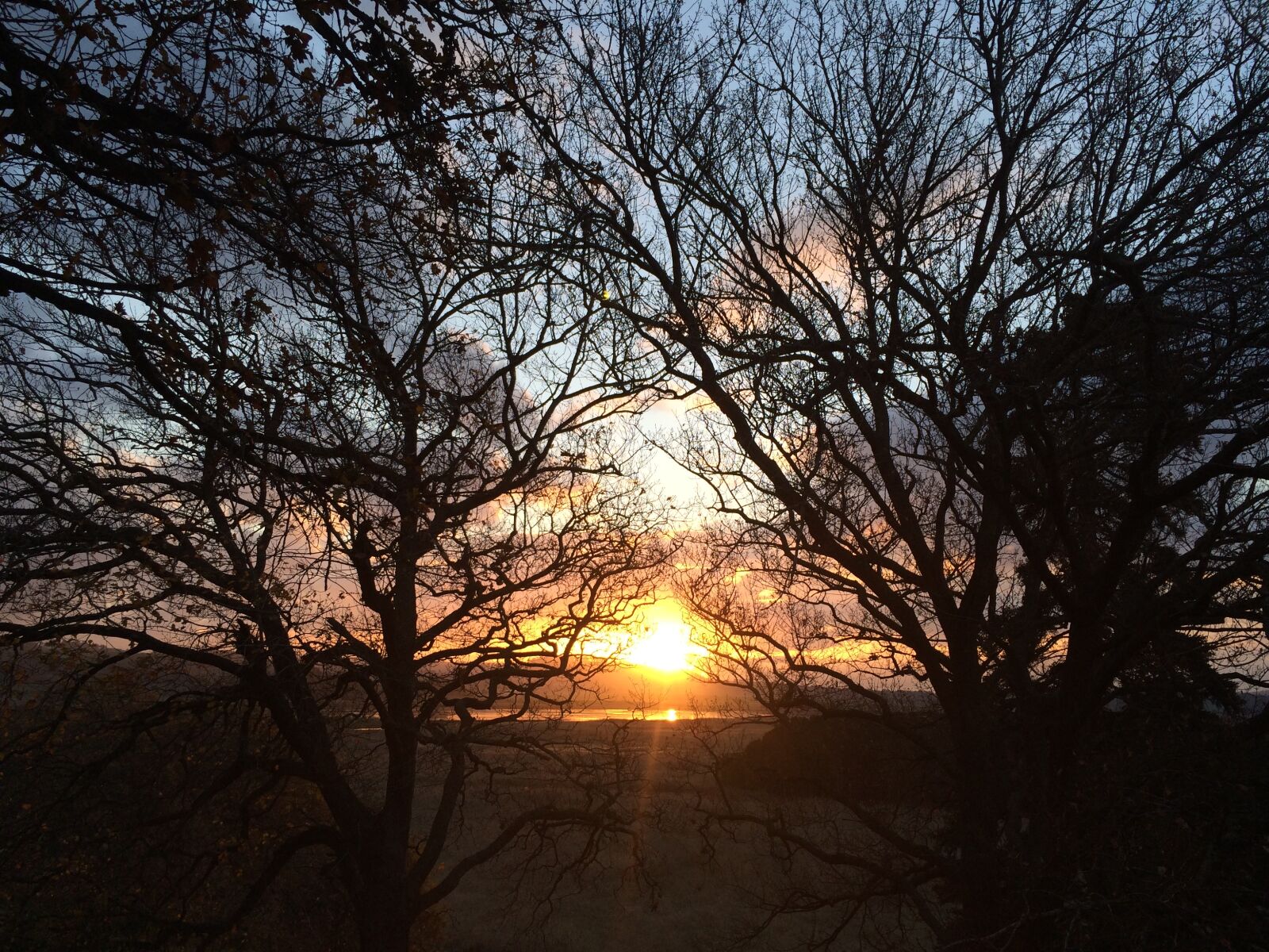 iPhone 5s back camera 4.12mm f/2.2 sample photo. Sunset, sunset, through, trees photography