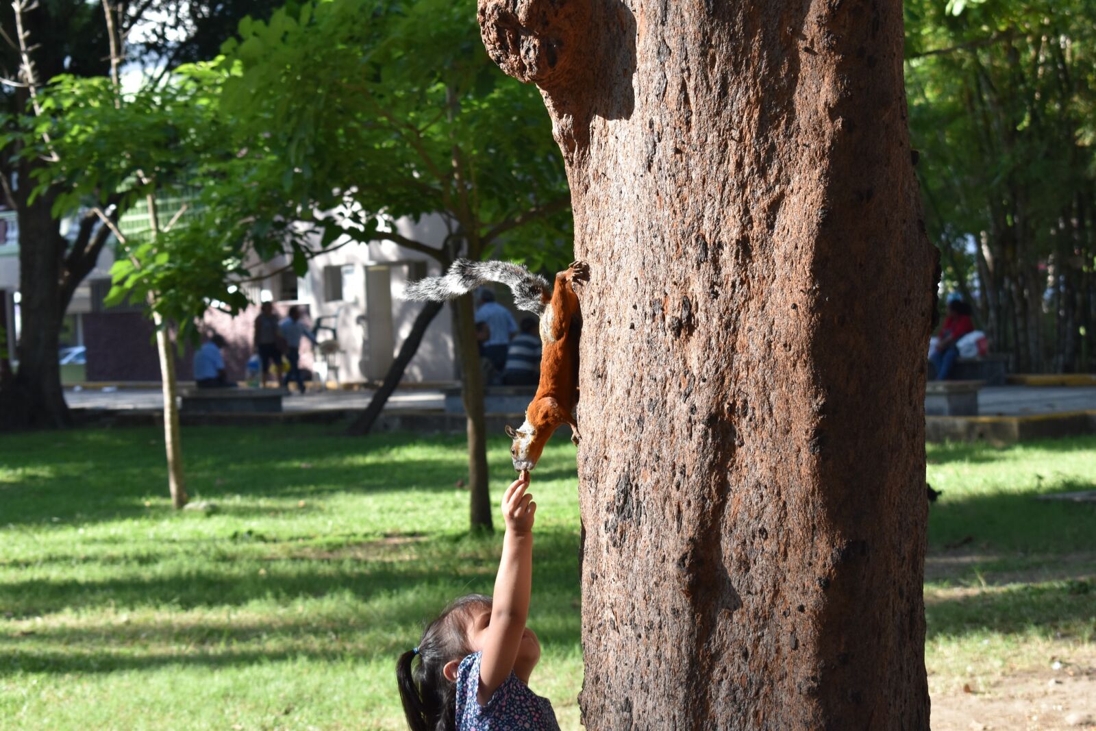 Nikon D5600 sample photo. Park, squirrel, girl photography
