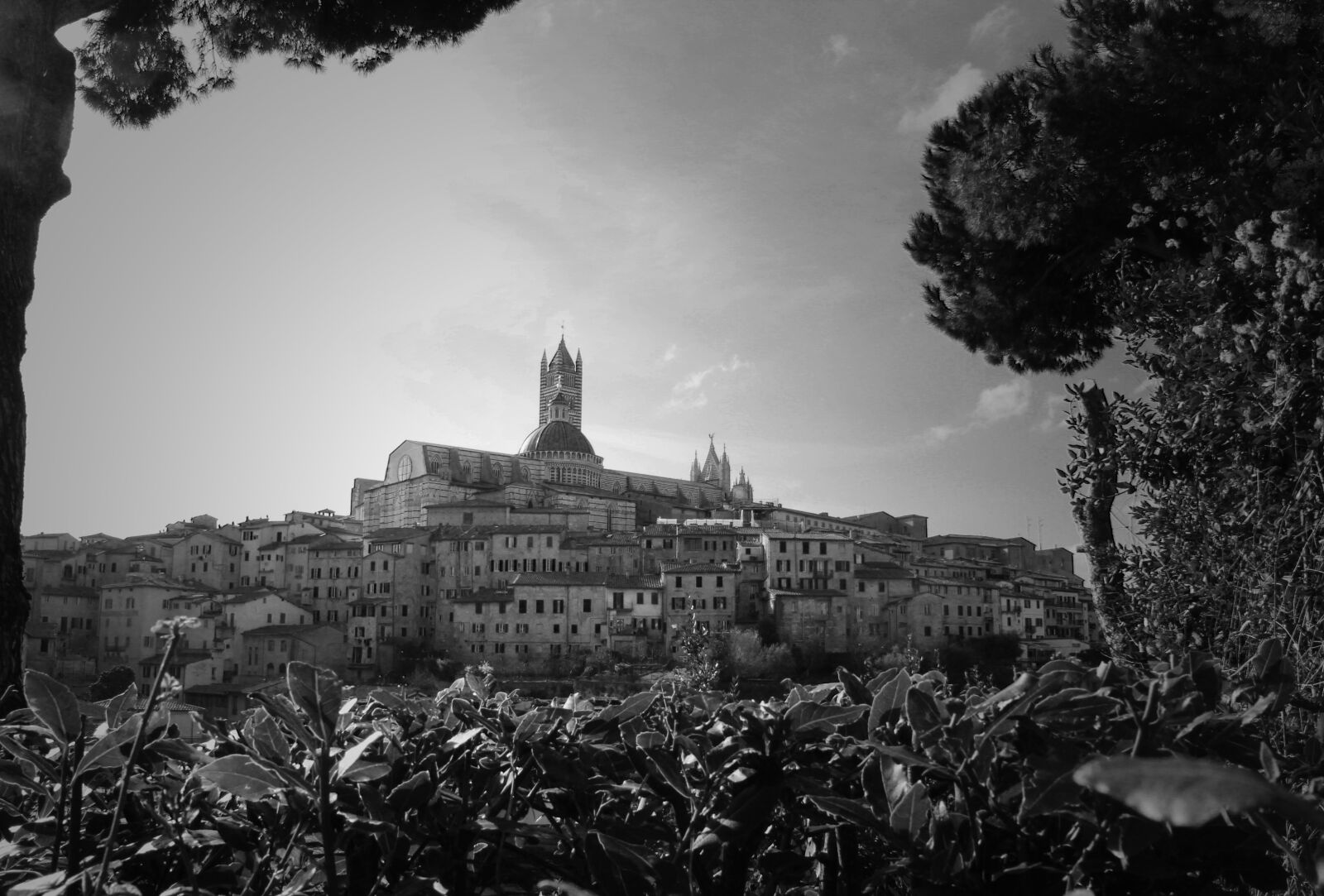 Canon EOS 600D (Rebel EOS T3i / EOS Kiss X5) sample photo. Sienna, view, historical photography